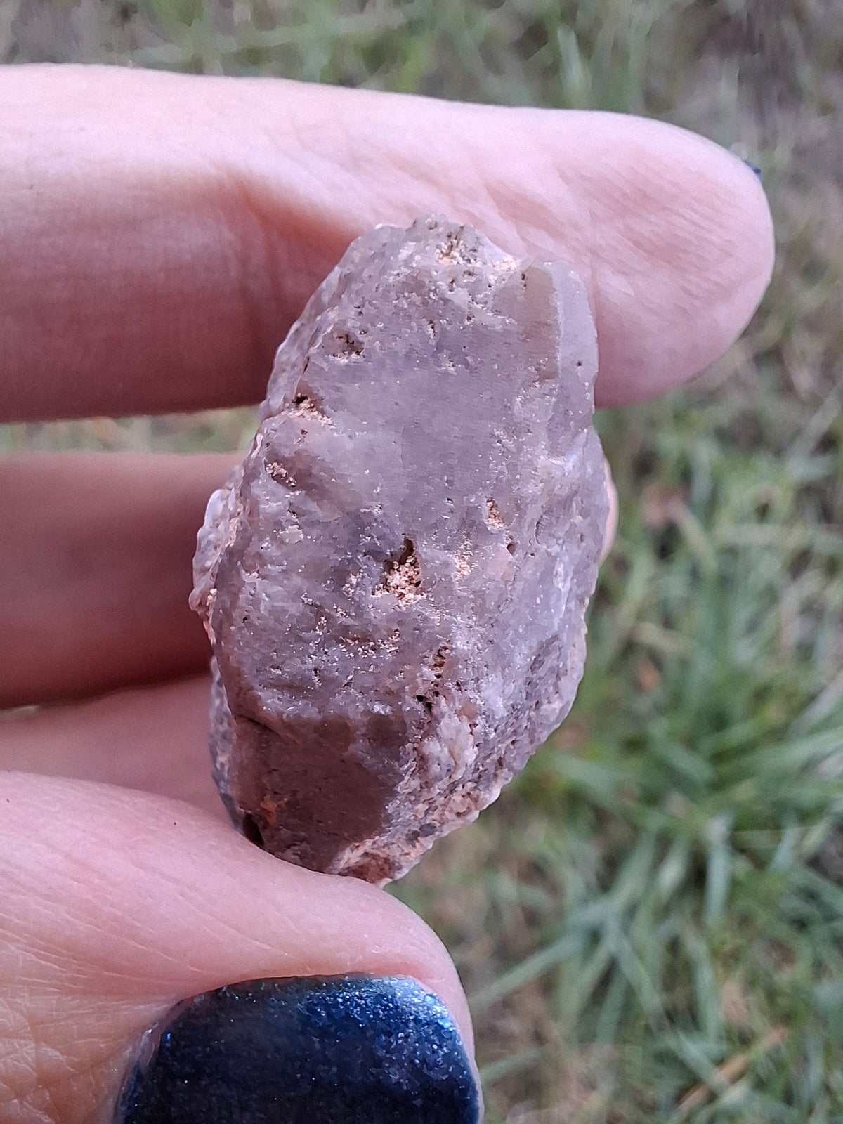 Chalcedony Oyster, Fossil (Ref: FO10)