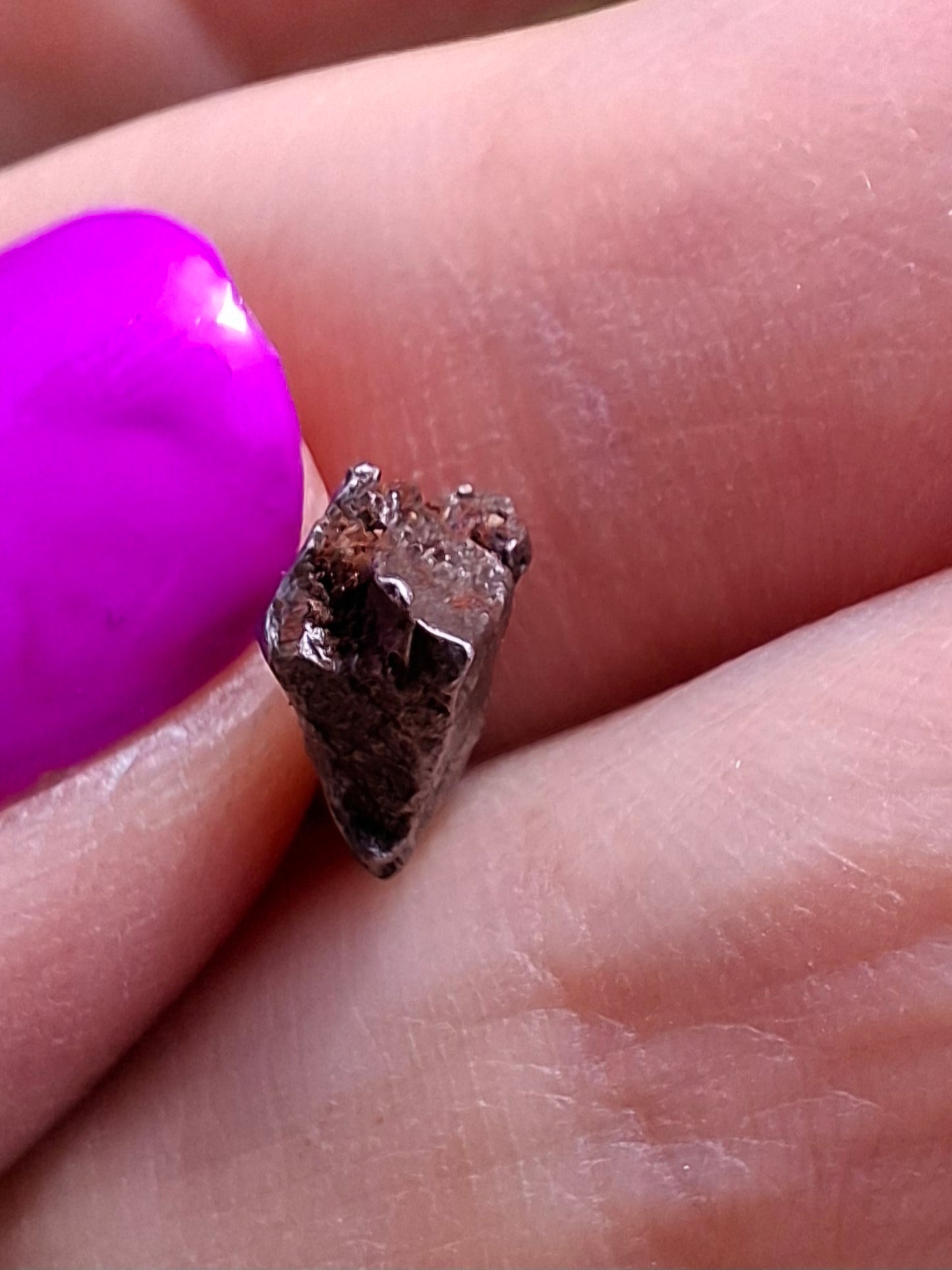 Campo del Cielo, 0.95g, Nickel Iron Meteorite (Ref: C2)