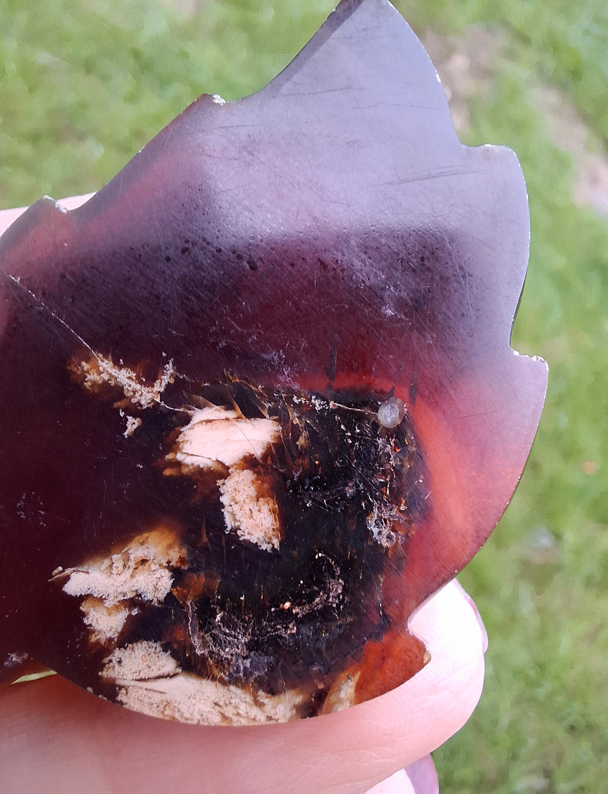 Red Amber Leaf Carving, 7.42g, Fossil (Ref: Leaf13)