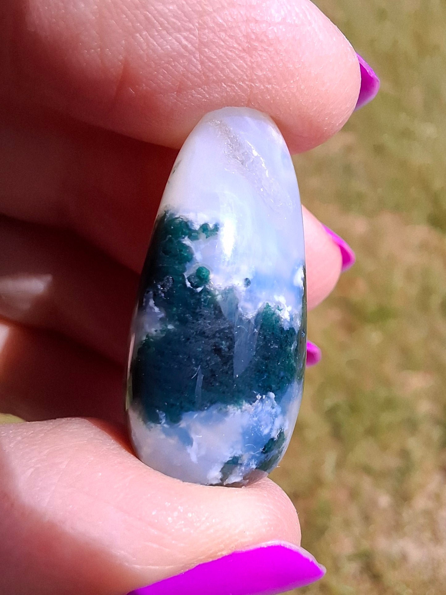 Tree Agate, Tumble Stone, Crystal (Ref: T2)