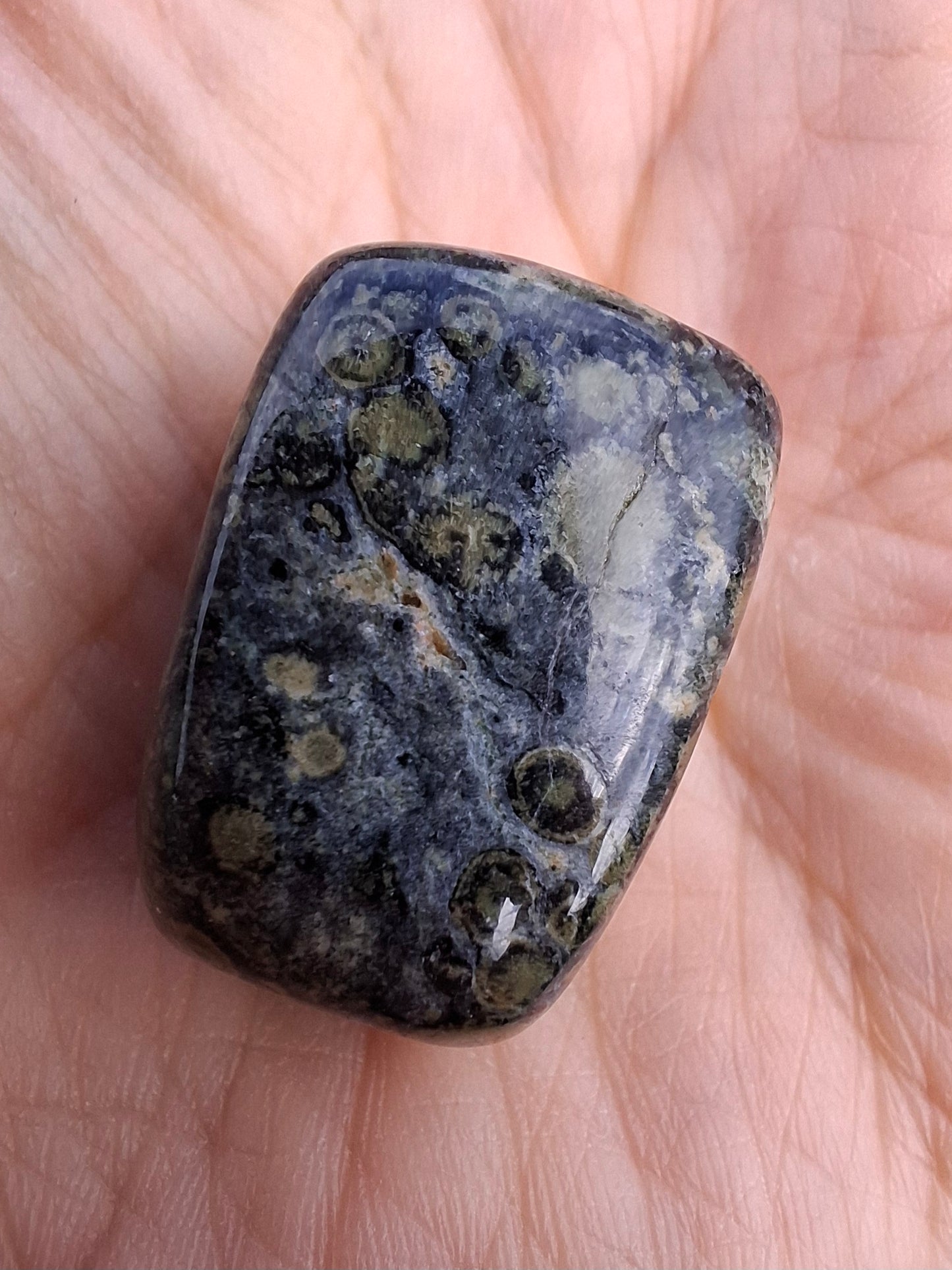 Kambaba Jasper, Tumble Stone, Crystal (Ref: T164)