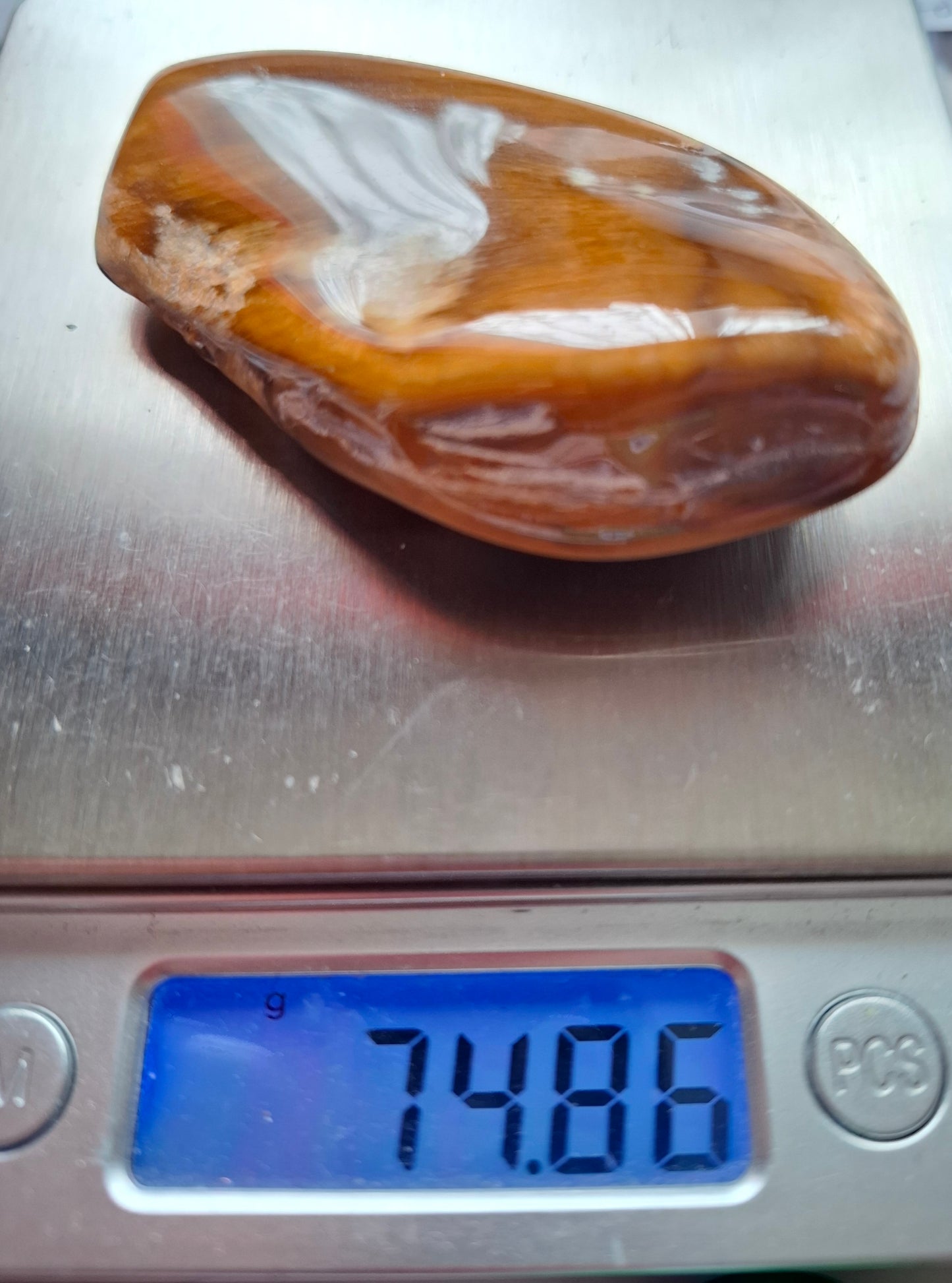 Fossilised Wood (polished), 74.86g, Fossil (Ref: FE1)