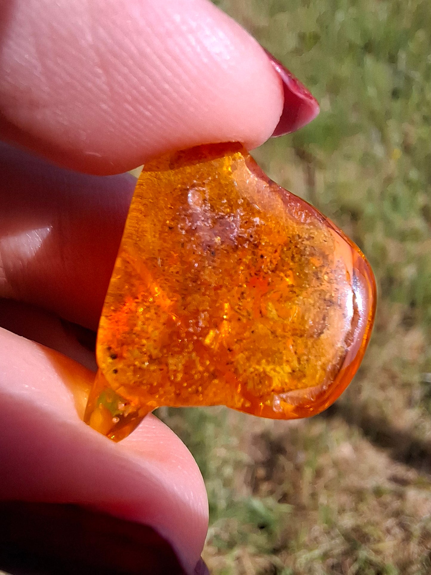 Baltic Amber, 1.58g, Fossil (Ref: A231)