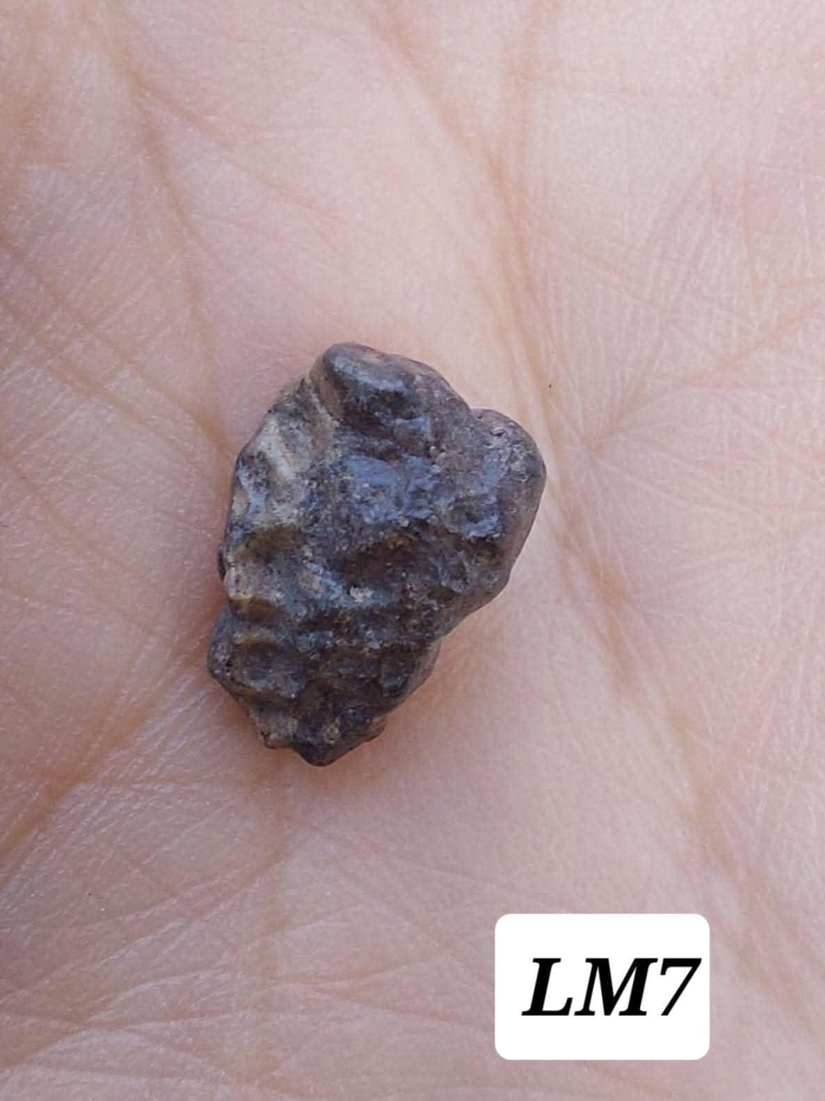 Lunar Meteorite, 0.83g, 'Moon Rock' (Ref: LM7)