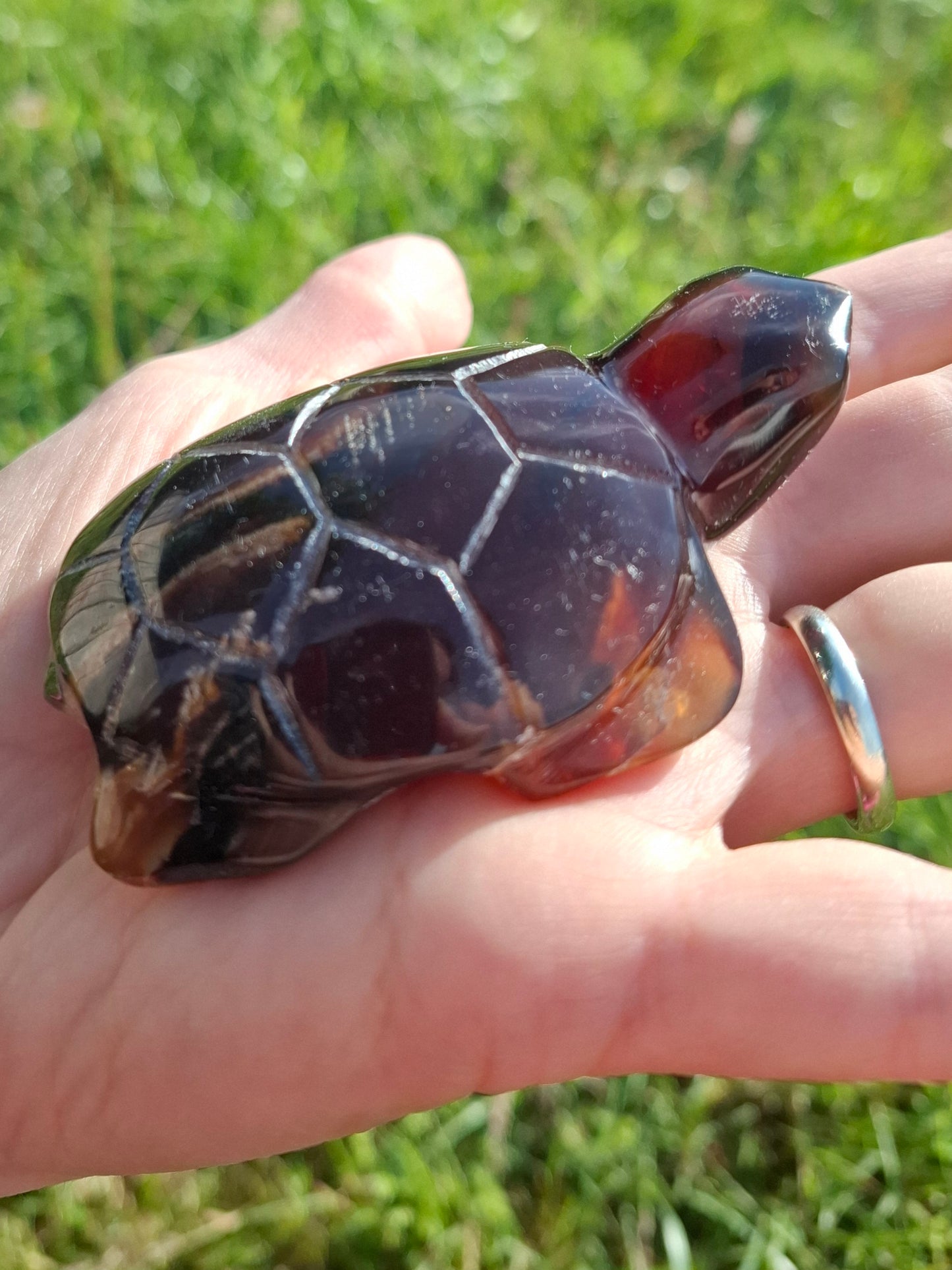 Red Amber Turtle, 52.00g, Carving, Fossil (Ref: TT3)