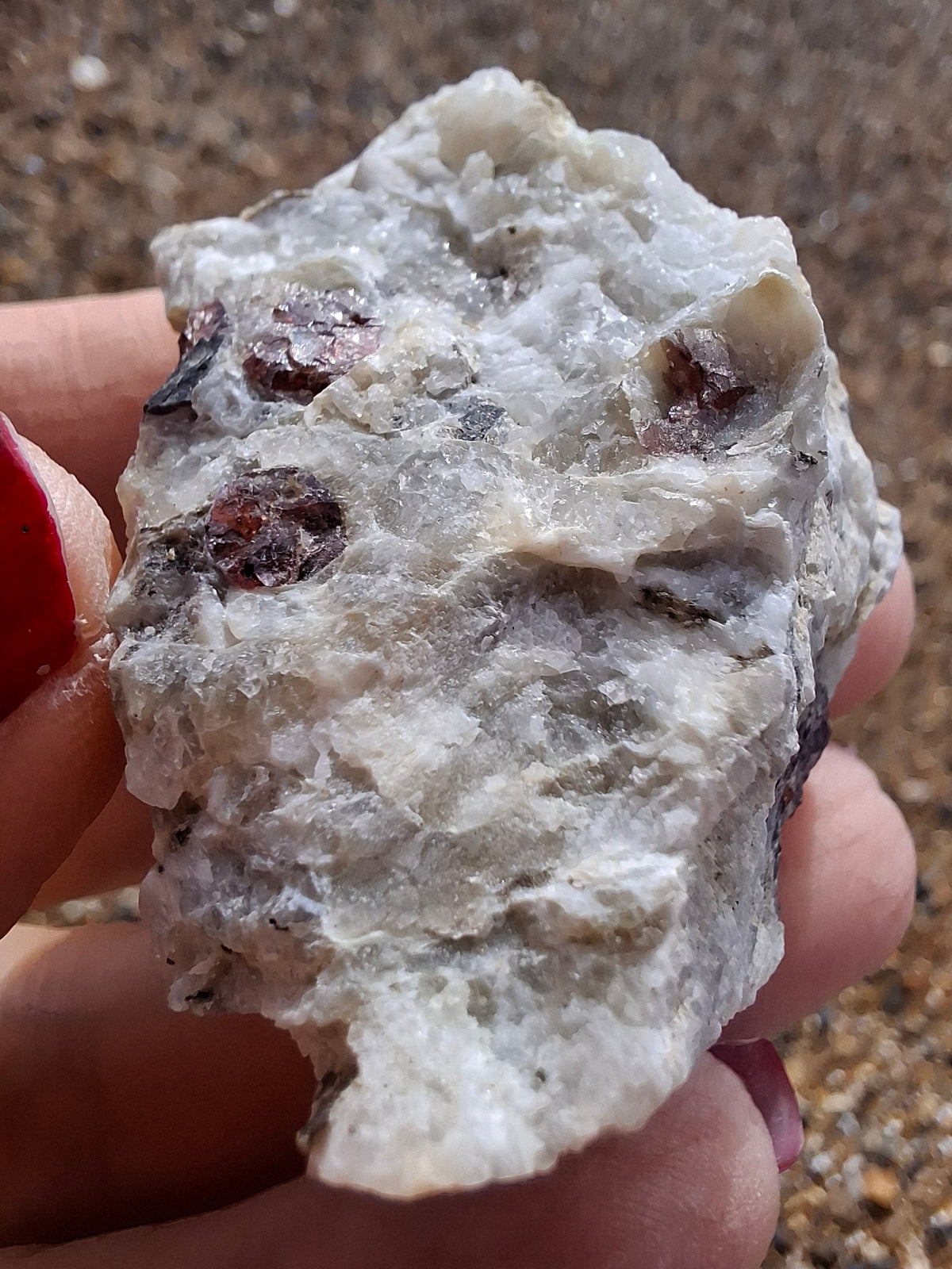 (Dig your own) Garnet in Matrix, Crystal (Ref: RG3)