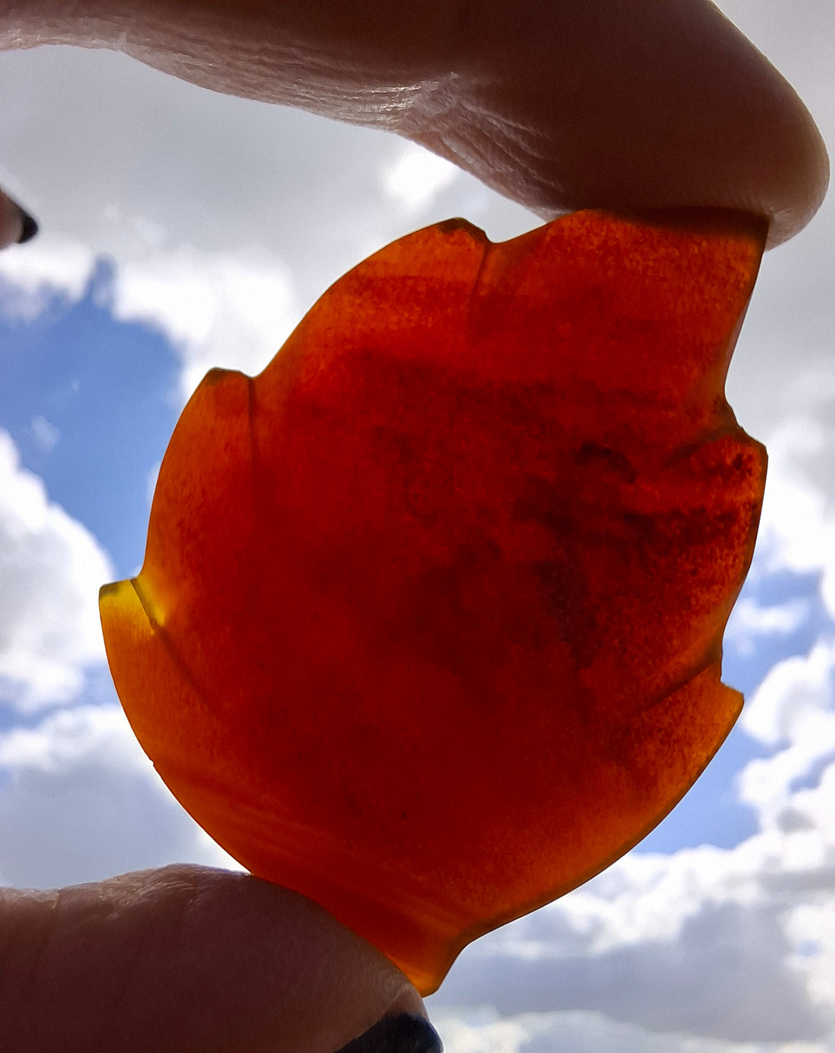 Red Amber Leaf Carving, 7.69g, Fossil (Ref: Leaf5)