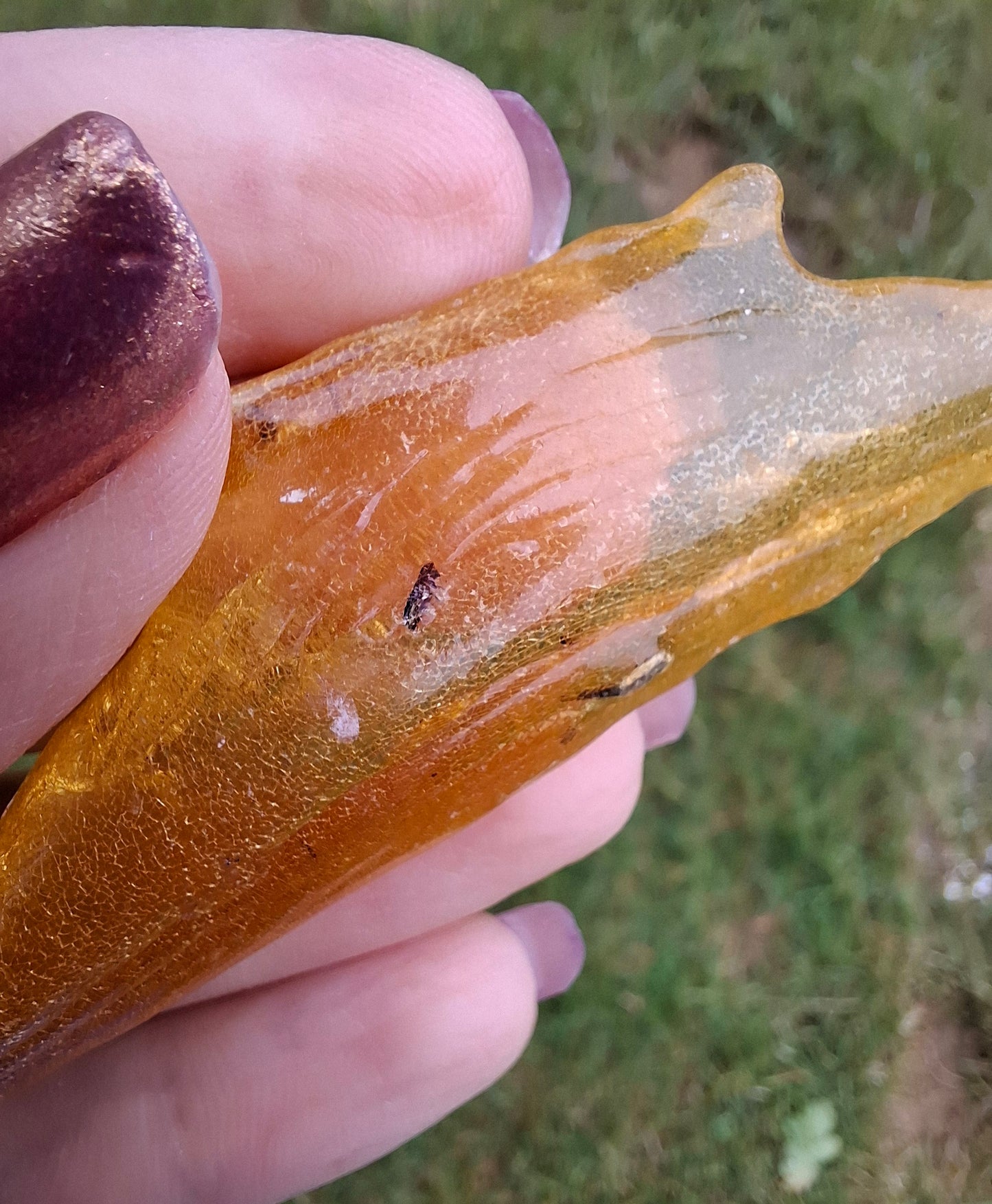 Copal Young Amber with INSECTS inside, 10.79g, Fossil (Ref: CA14)