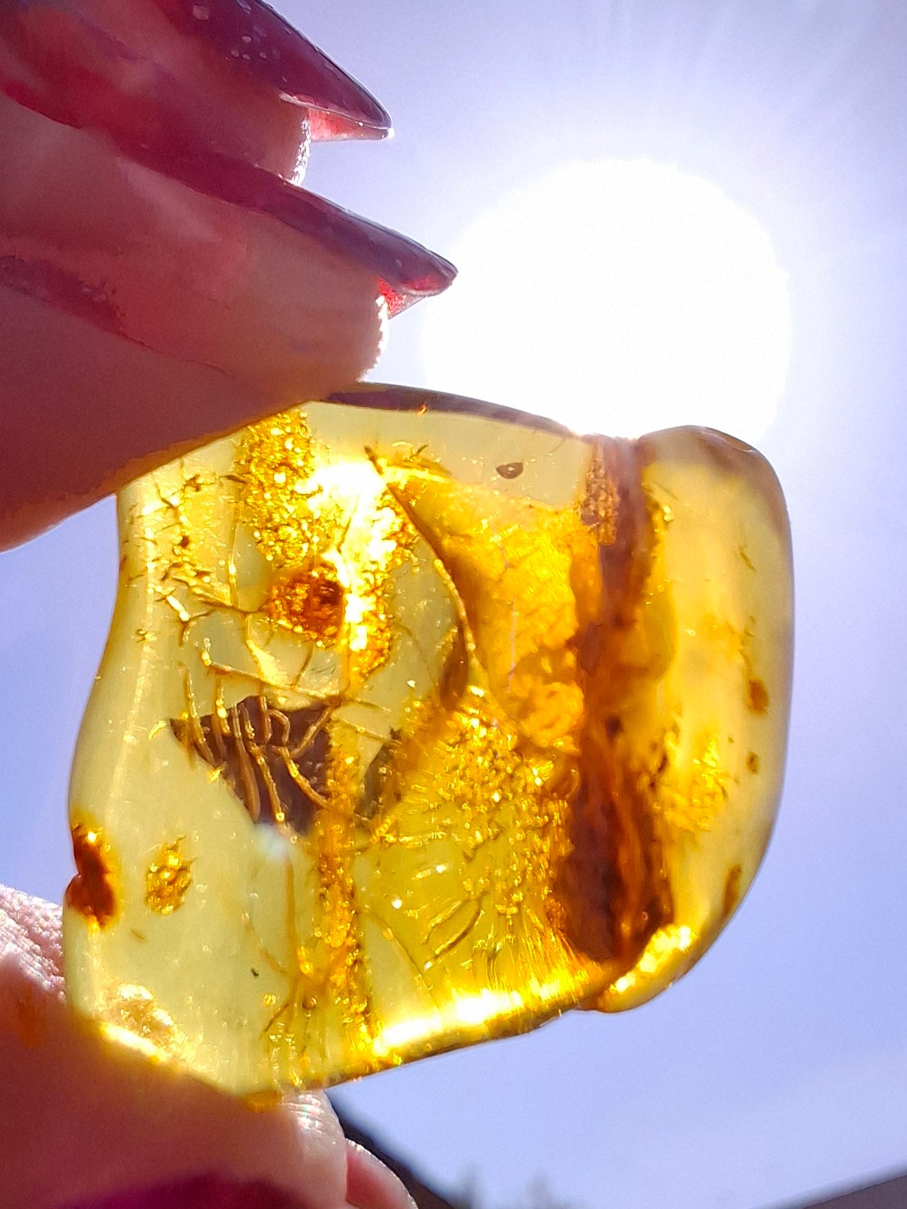 Baltic Amber, 1.51g, Fossil (Ref: A236)