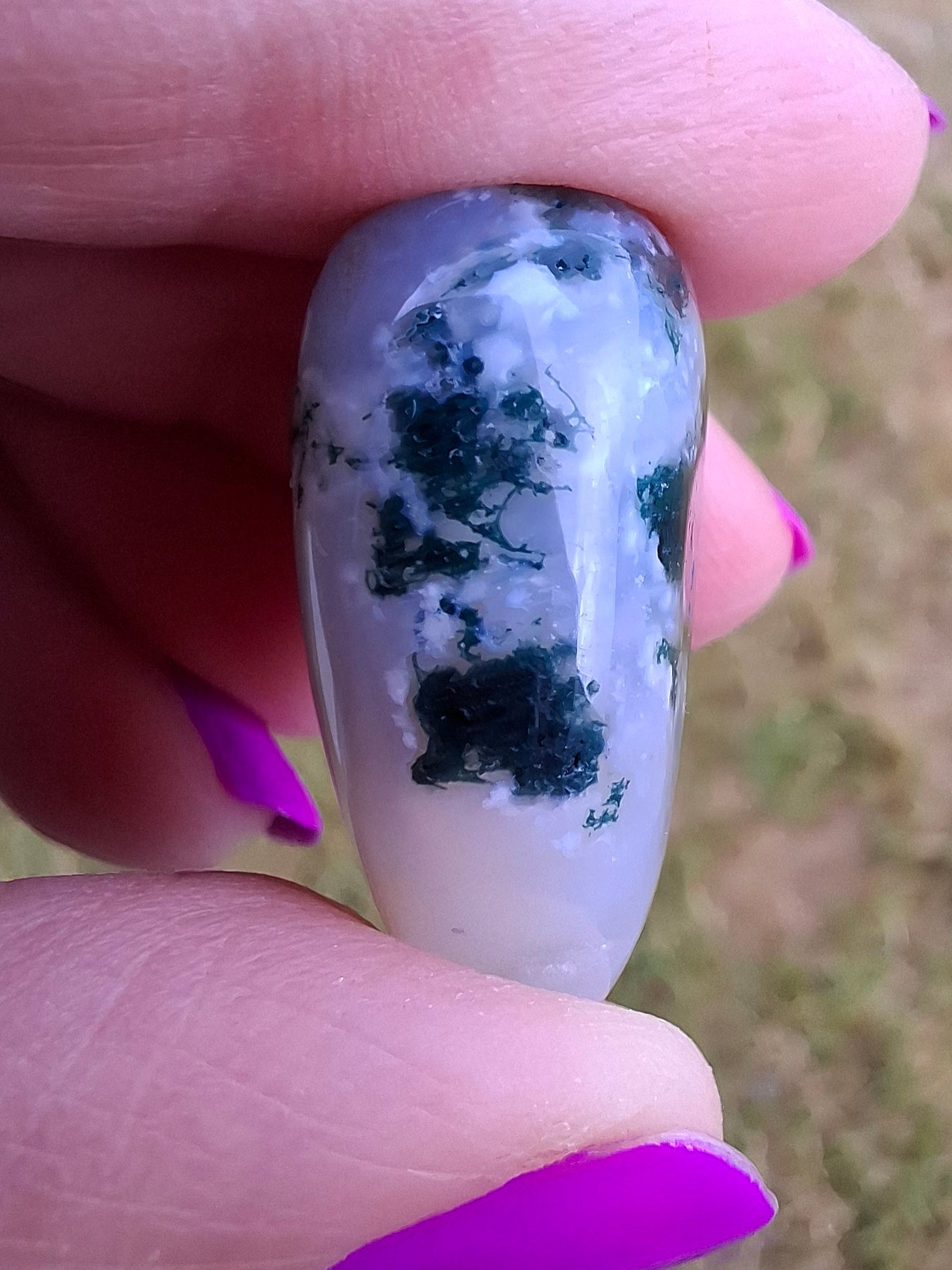 Tree Agate, Tumble Stone, Crystal (Ref: T2)