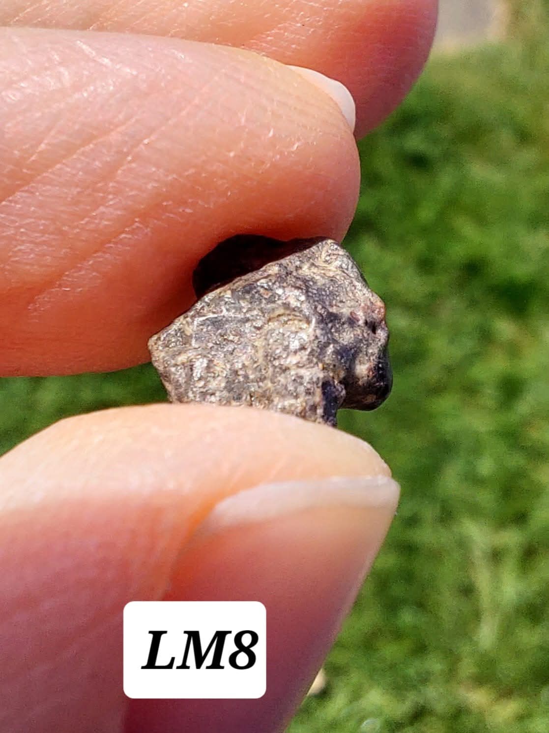 Lunar Meteorite, 0.55g, 'Moon Rock' (Ref: LM8)