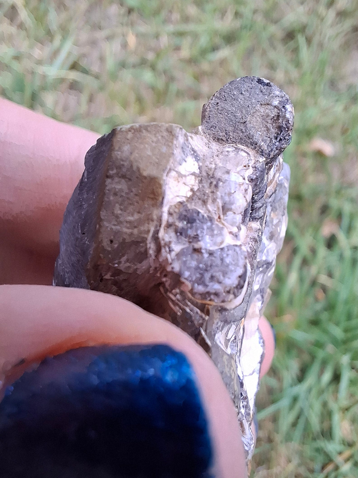 Ammonite Cluster, Fossil (Ref: ACL3)