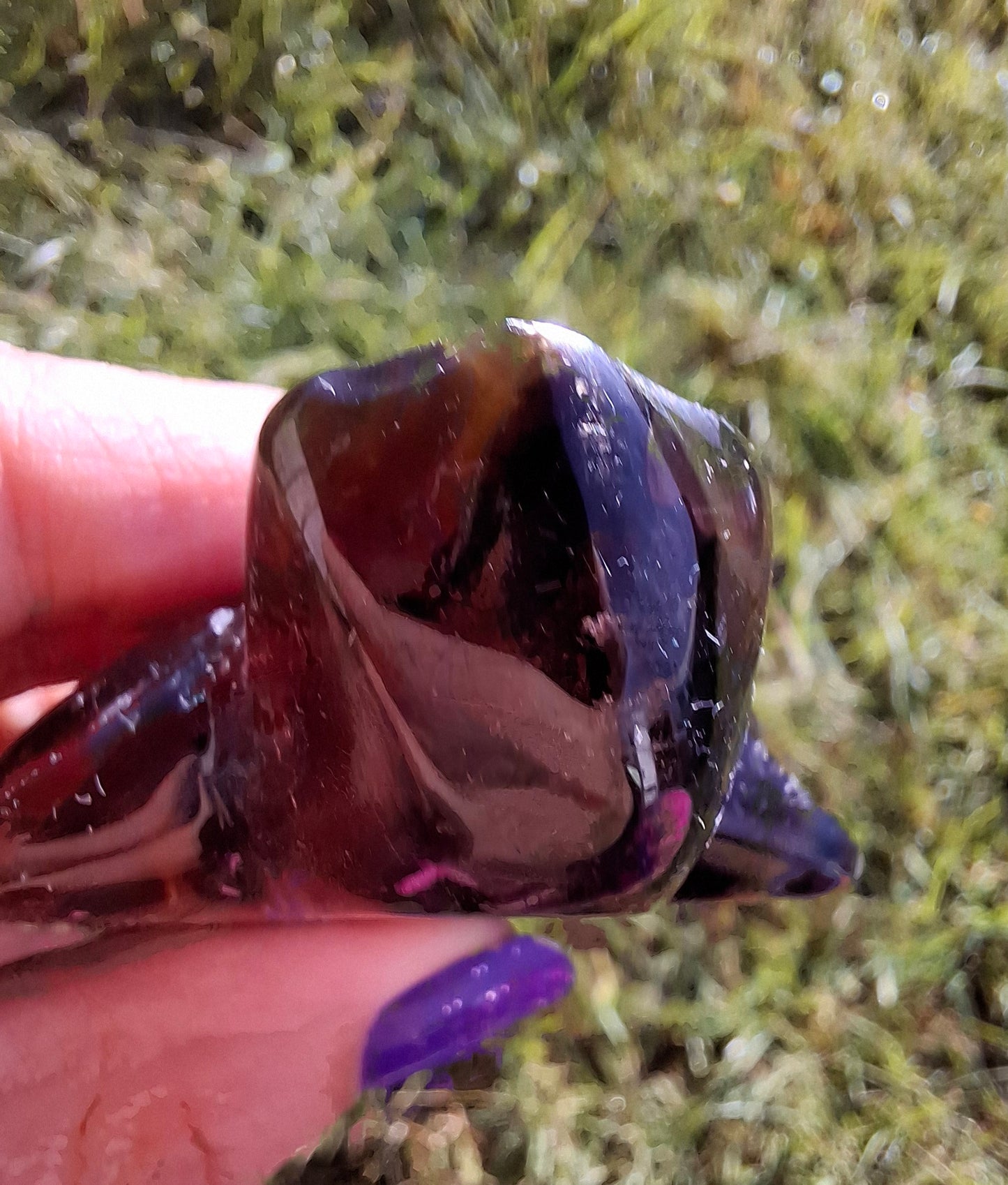 Red Amber Turtle, 52.00g, Carving, Fossil (Ref: TT3)