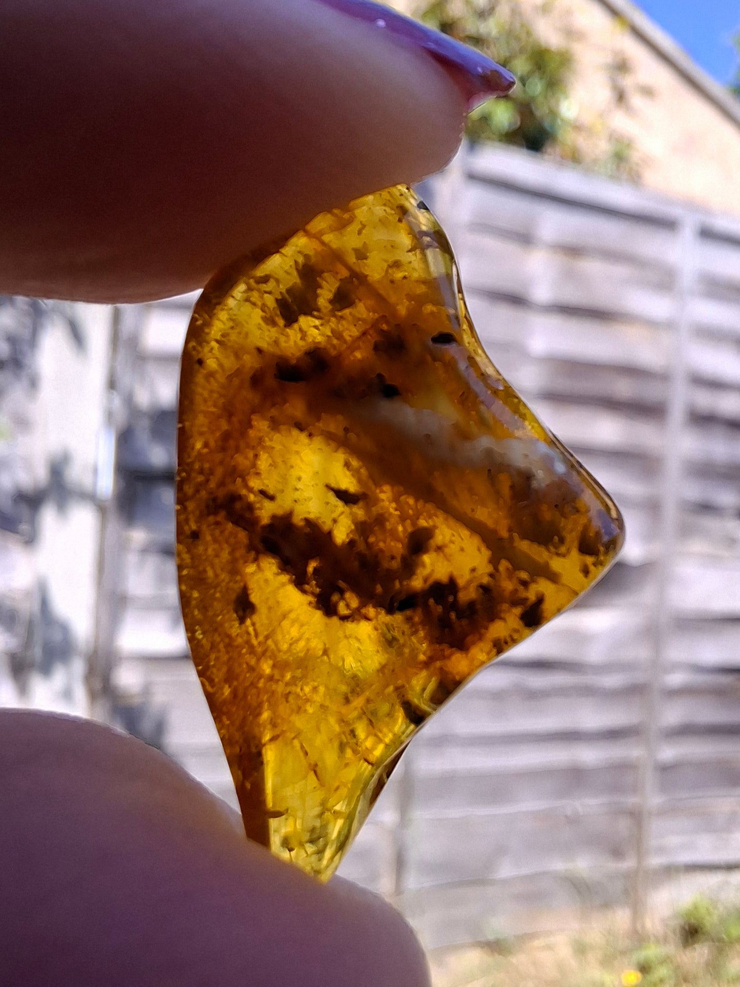 Baltic Amber, 1.25g, Fossil (Ref: A188)