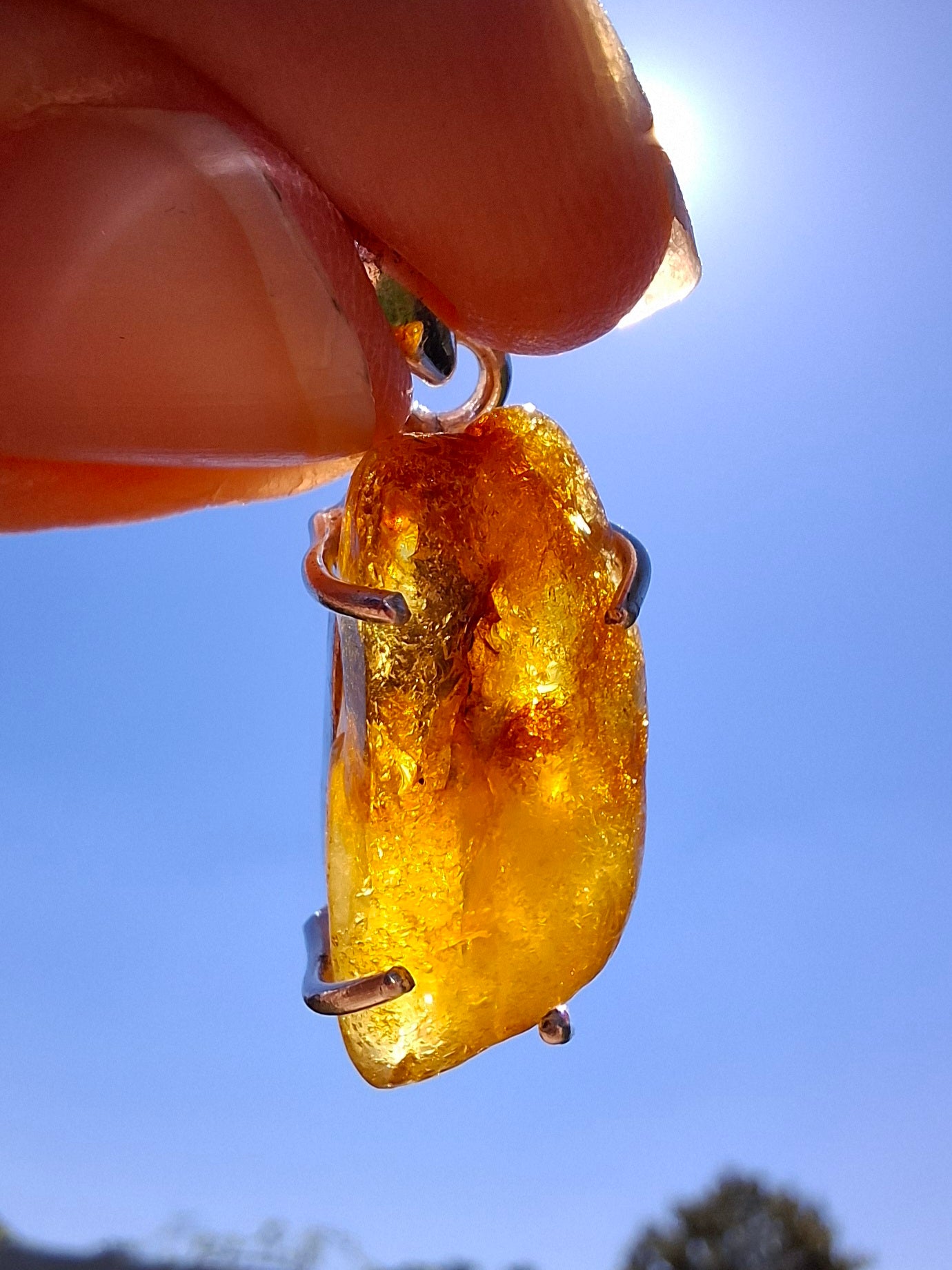 Baltic Amber Pendant, 925 Silver, Fossil (Ref: AP4)