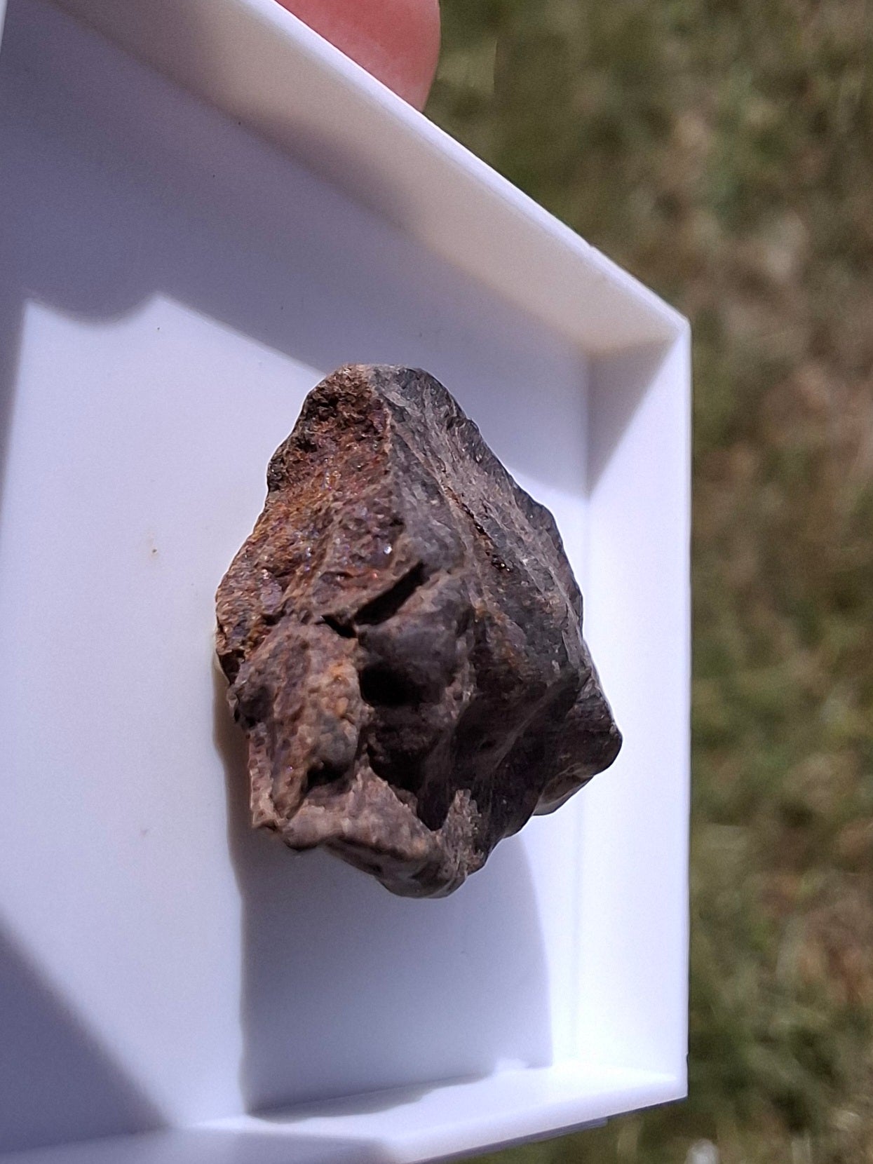 Chondrite, Meteorite (Ref: CM10)
