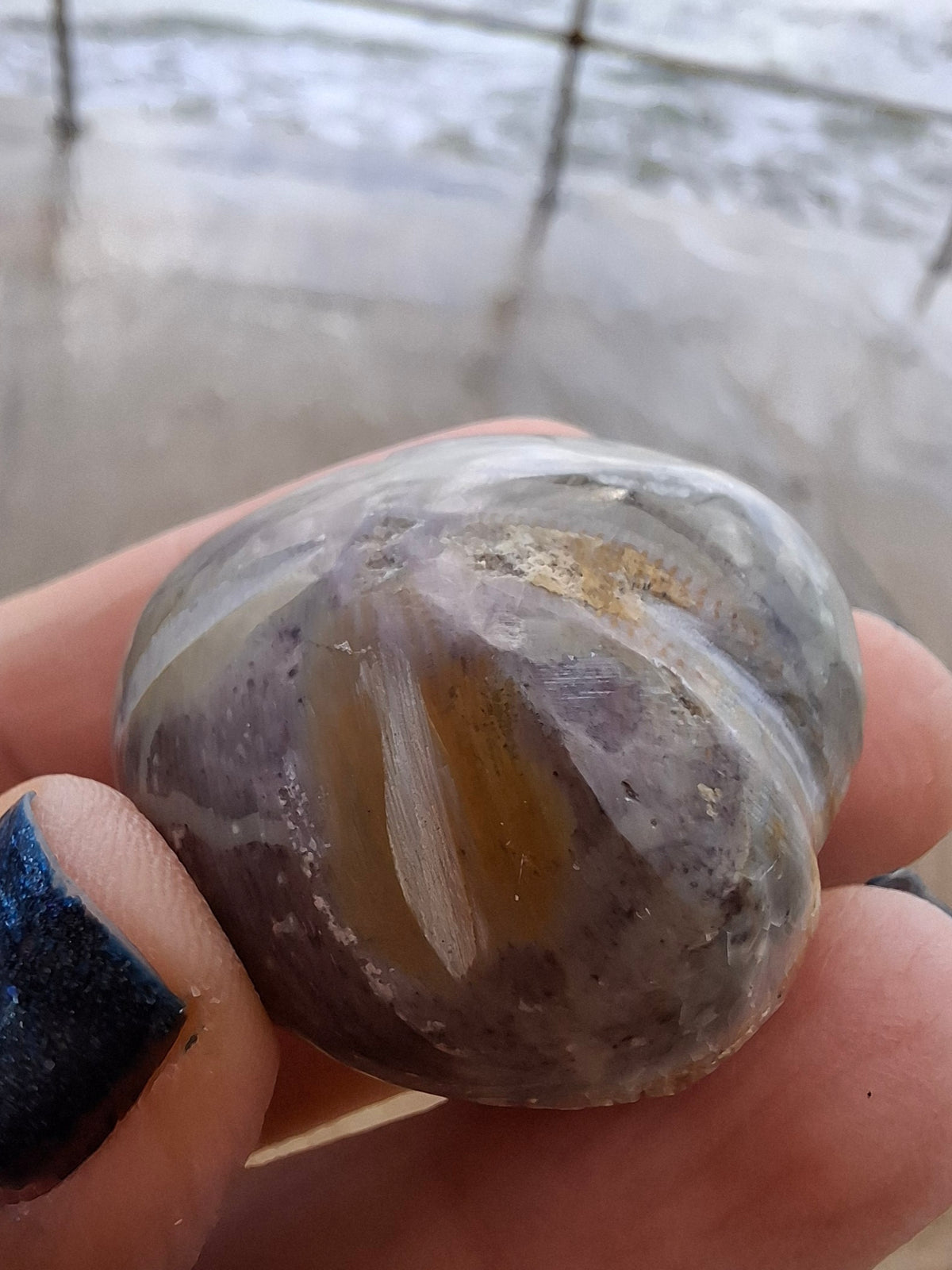 Polished Sea Urchin, Fossil (Ref: SU6)