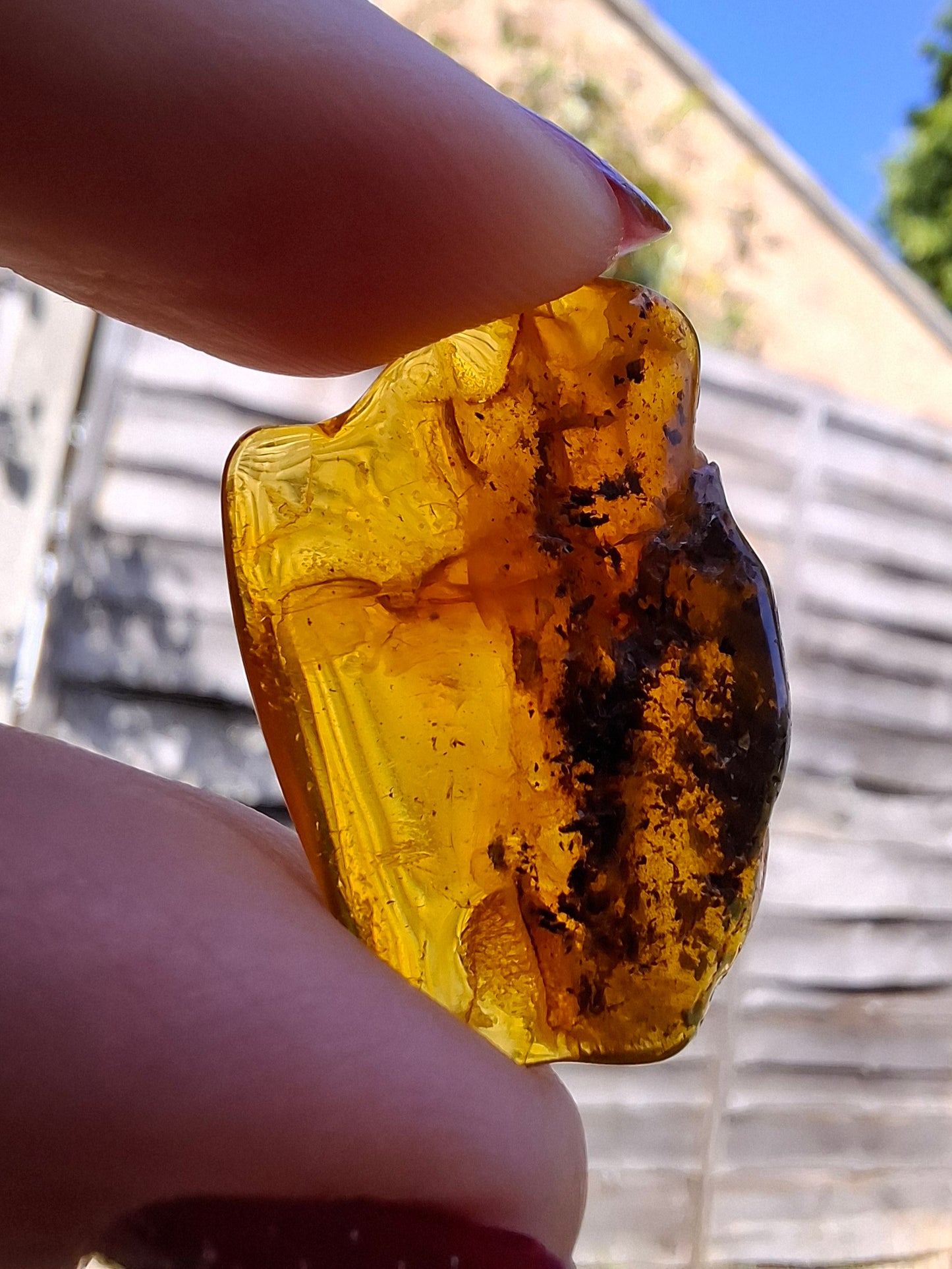 Baltic Amber, 2.09g, Fossil (Ref: A54)