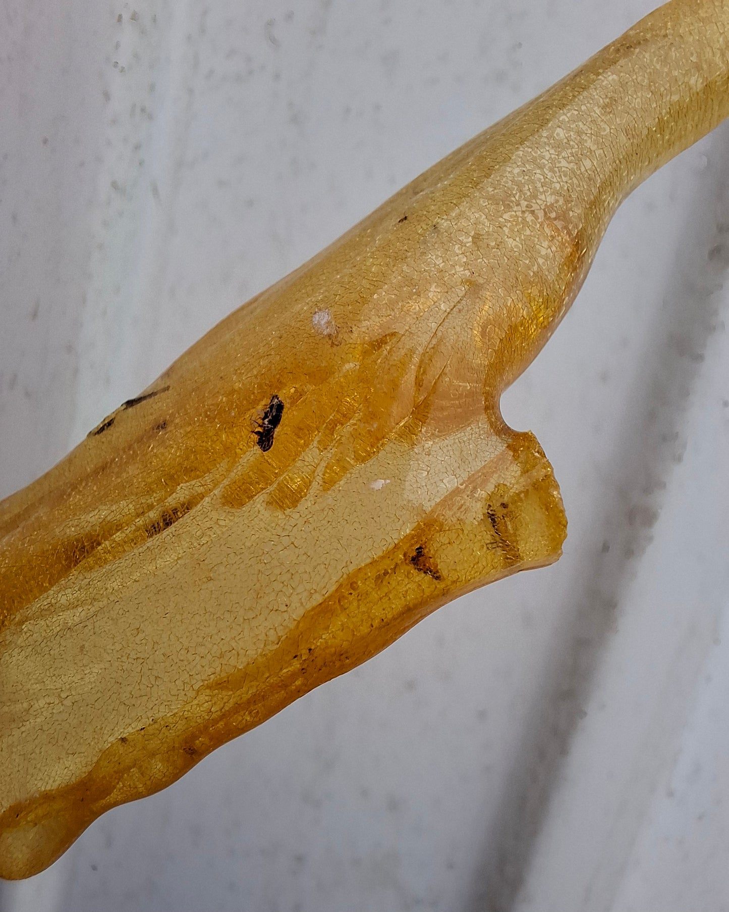 Copal Young Amber with INSECTS inside, 10.79g, Fossil (Ref: CA14)