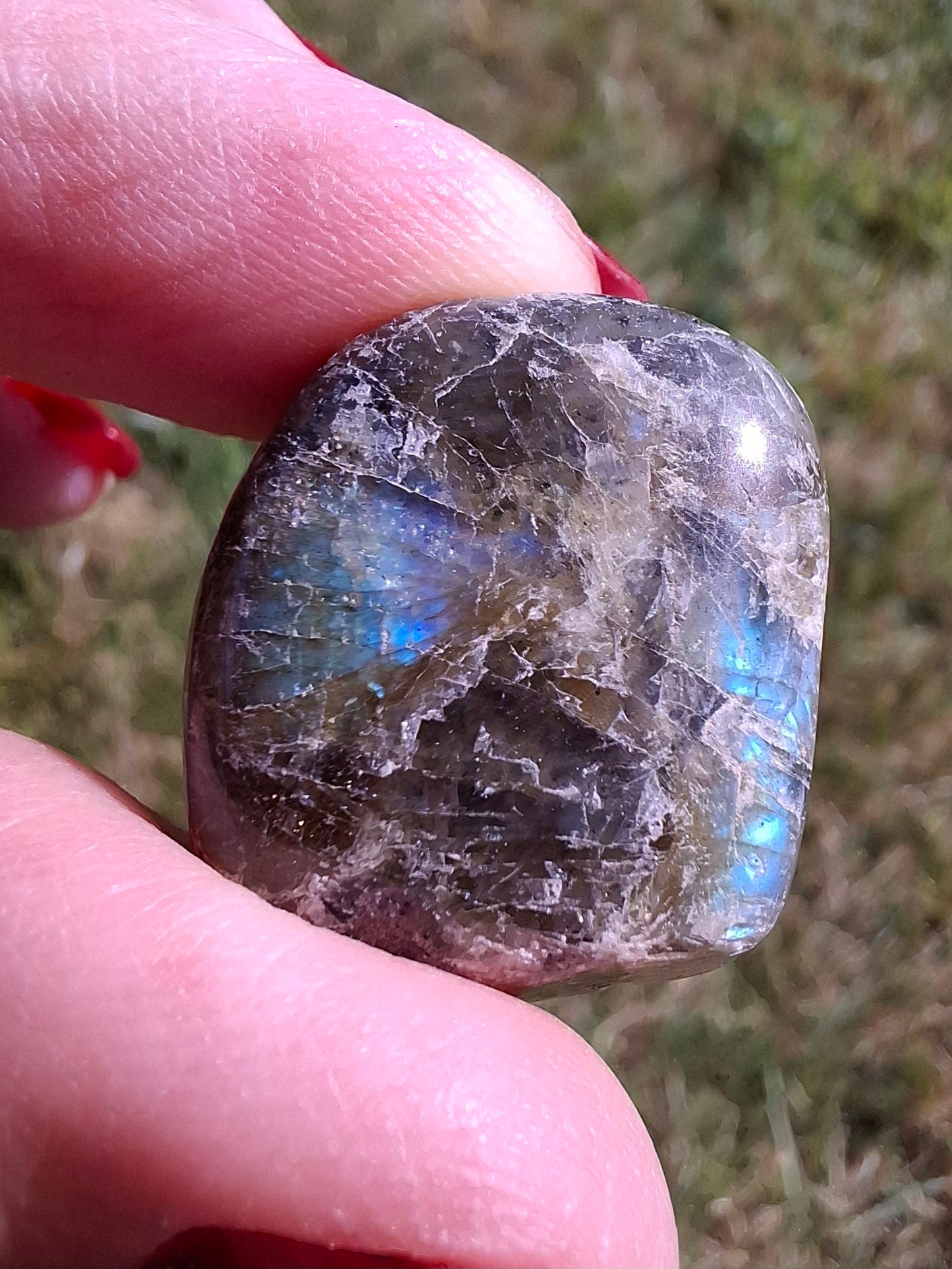 Labradorite, Tumble Stone, Crystal (Ref: T211)