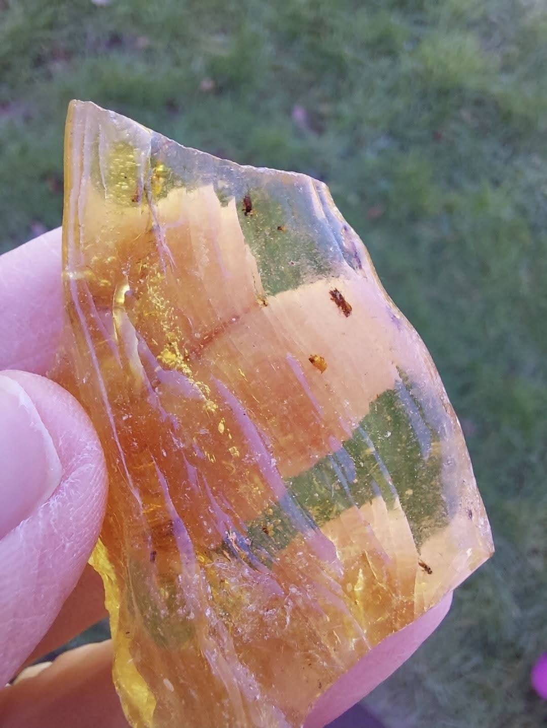 Copal Young Amber with INSECTS inside, 6.42g, Fossil (Ref: CA38)