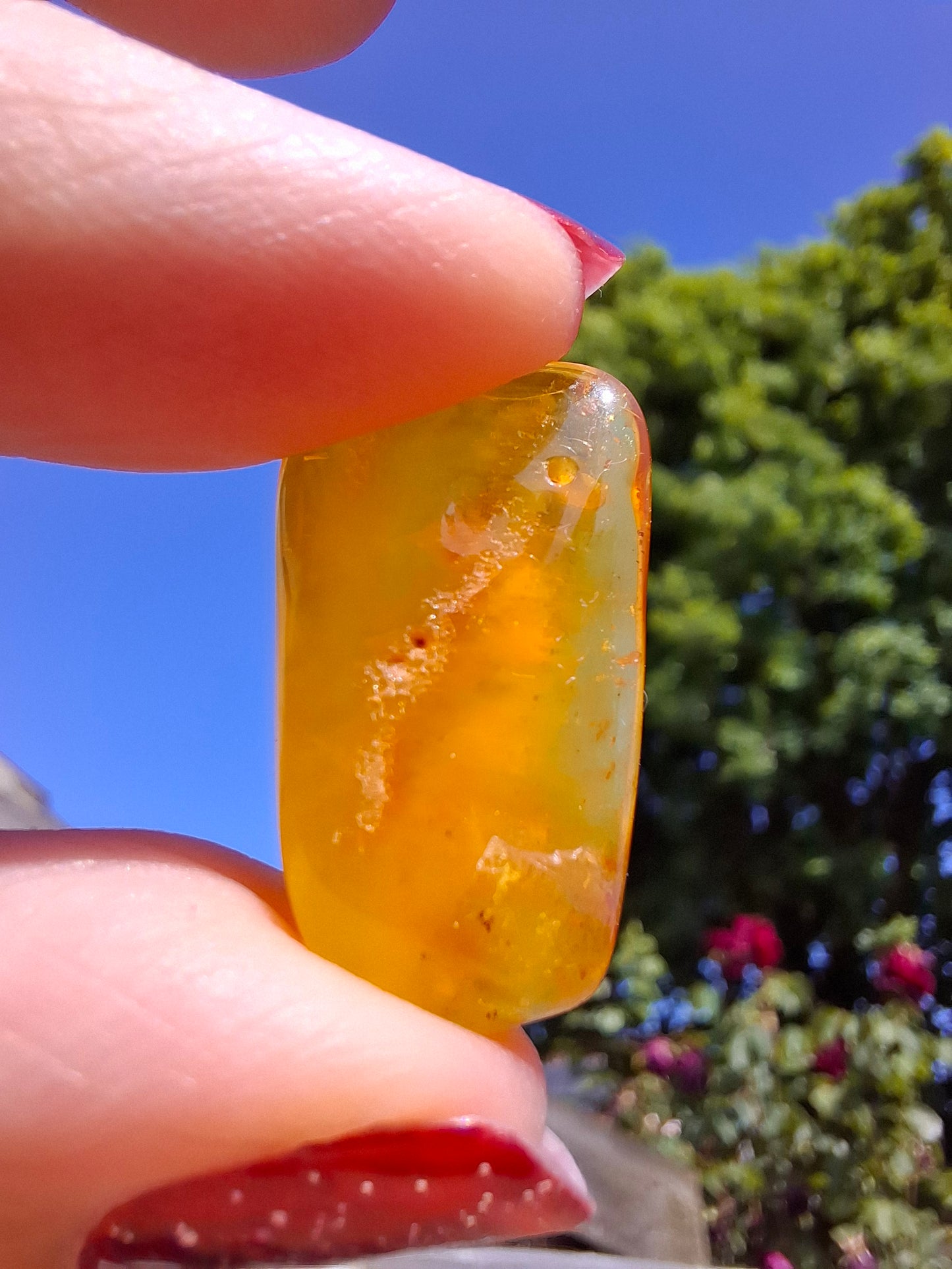 Baltic Amber, 1.55g, Fossil (Ref: A219)