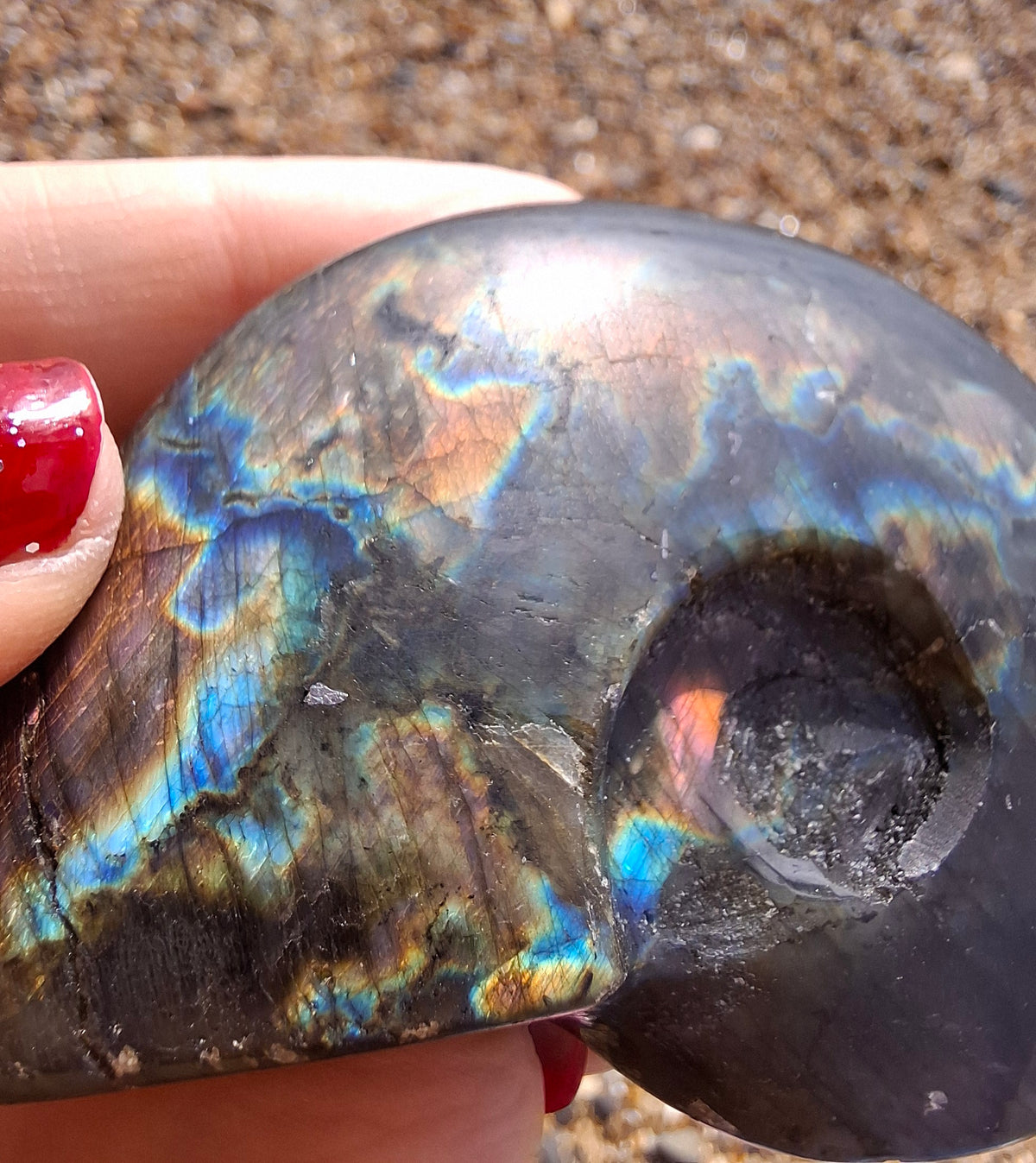 Labradorite Ammonite Carving, 89.31g, Crystal (Ref: laba6)