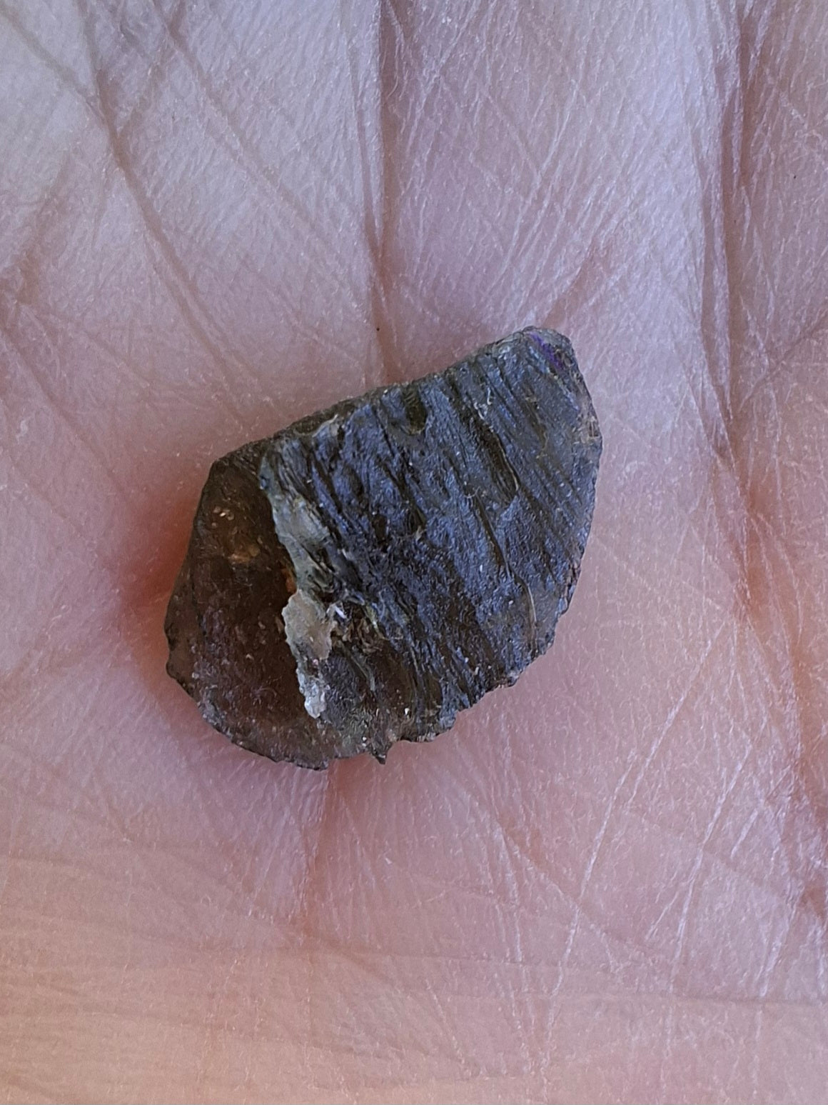 Moldavite Piece, 0.69g, Tektite (Ref: 1407)