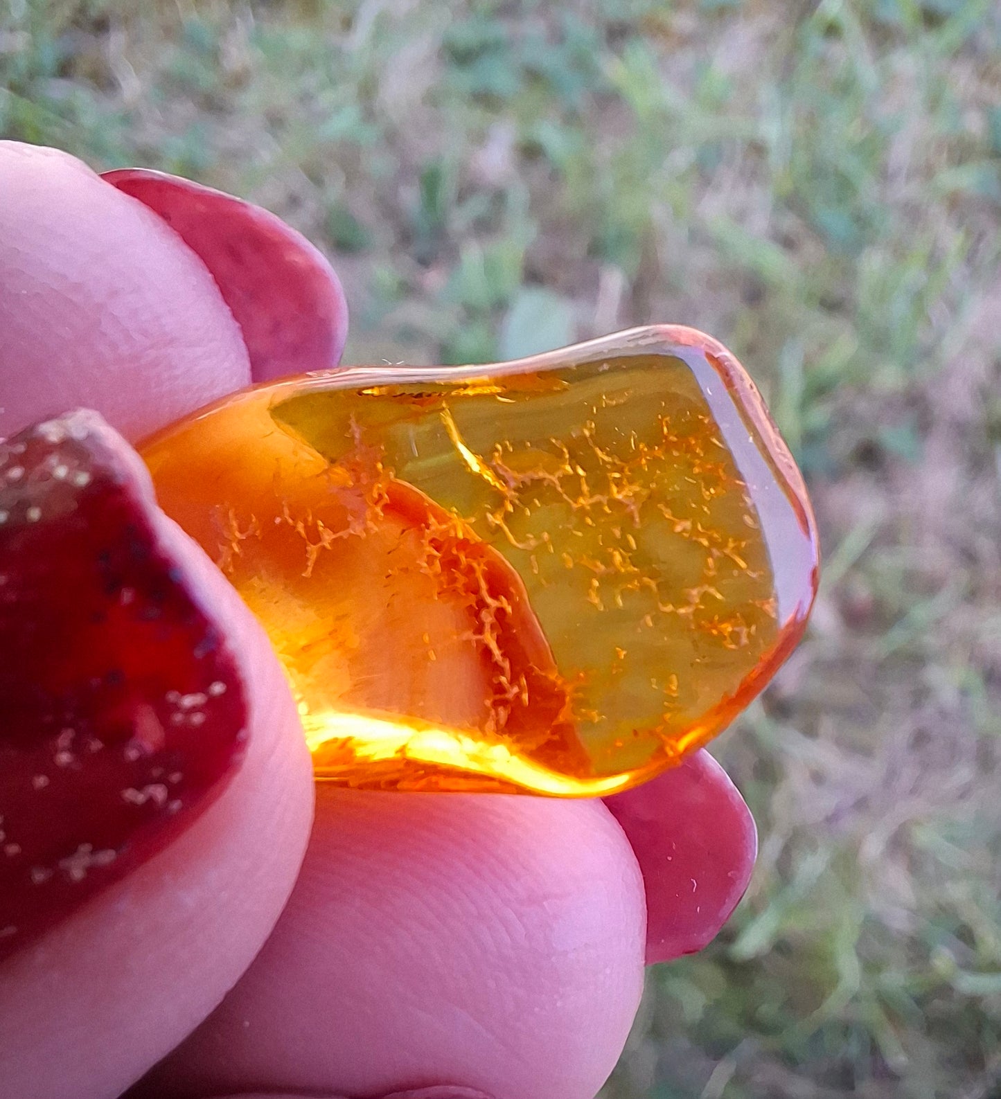 Baltic Amber, 1.16g, Fossil (Ref: A126)