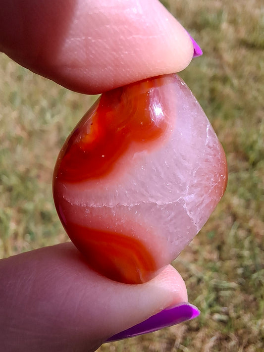 Carnelian, Tumble Stone, Crystal (Ref: T63)
