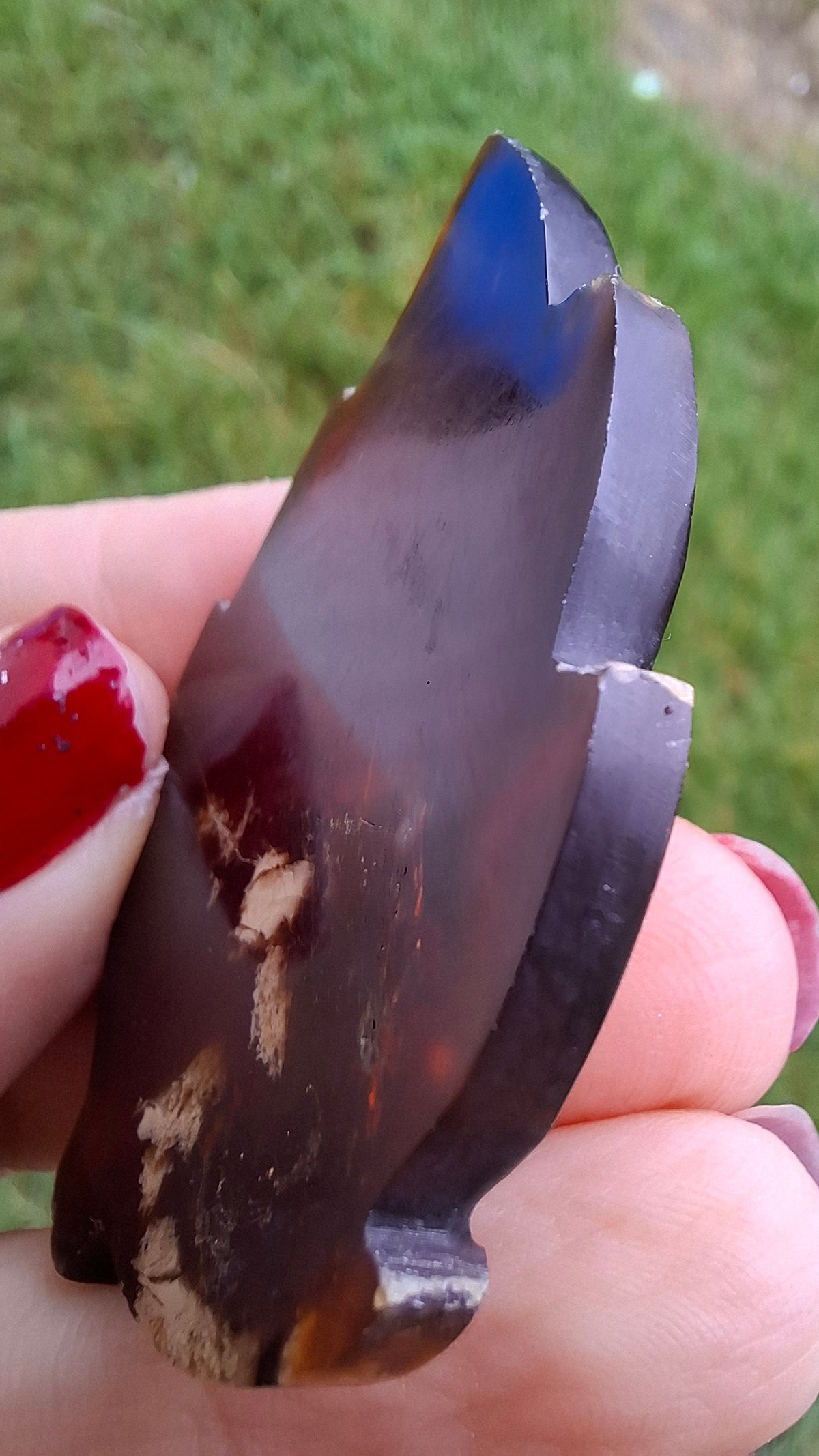 Red Amber Leaf Carving, 7.42g, Fossil (Ref: Leaf13)