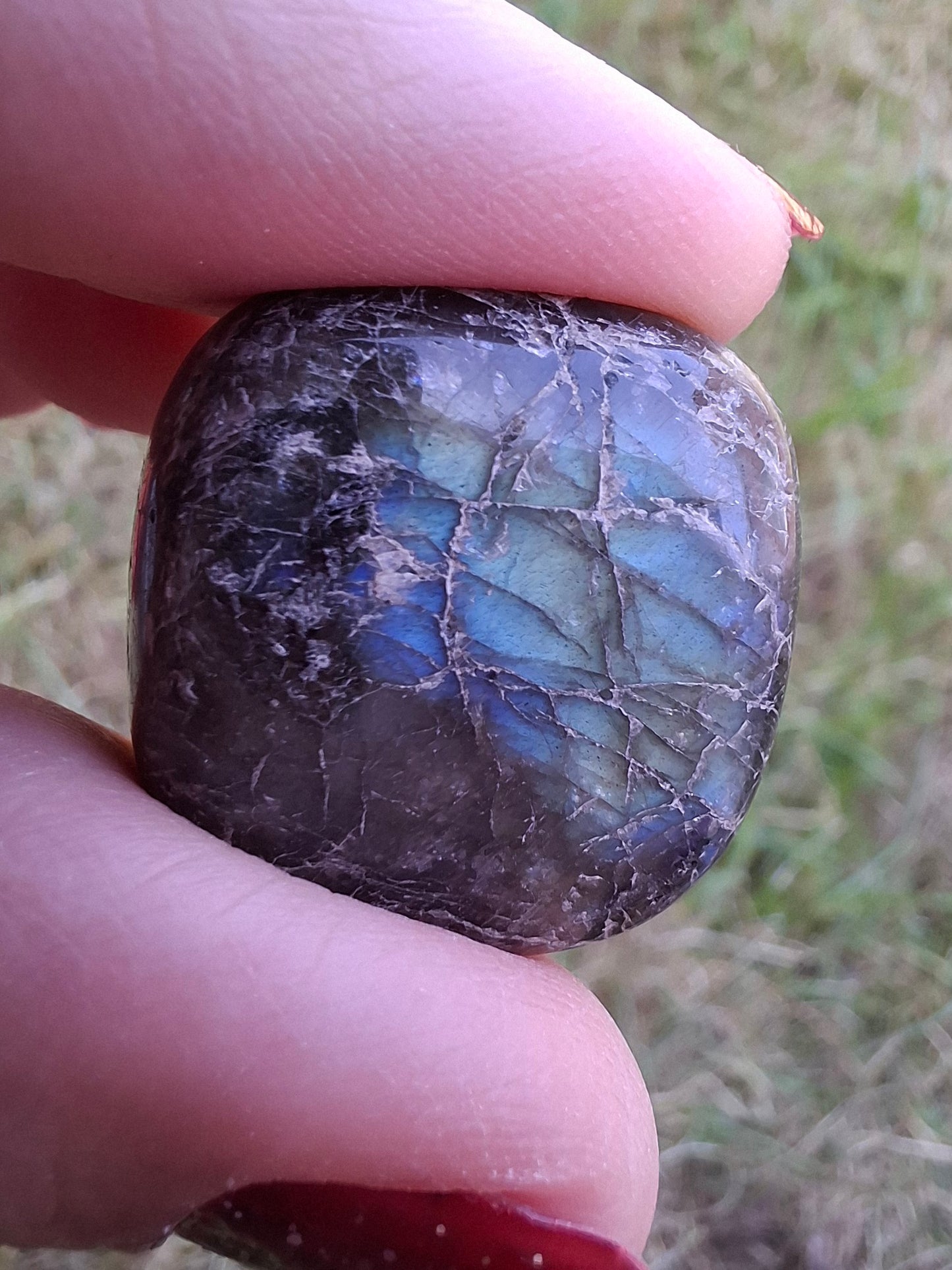 Labradorite, Tumble Stone, Crystal (Ref: T214)