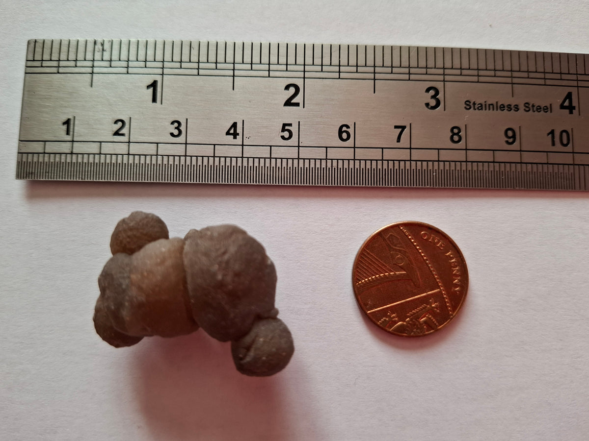 Nebula Chalcedony, 13.55g, Fossil (Ref: NC8)