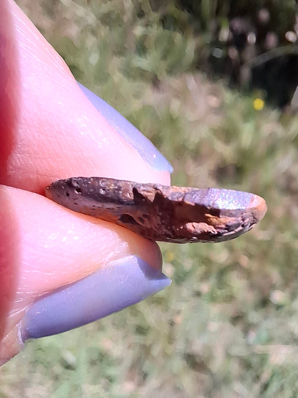 Small Haematite Ammonite HALF, 1.36g, Fossil (Ref: MA12)