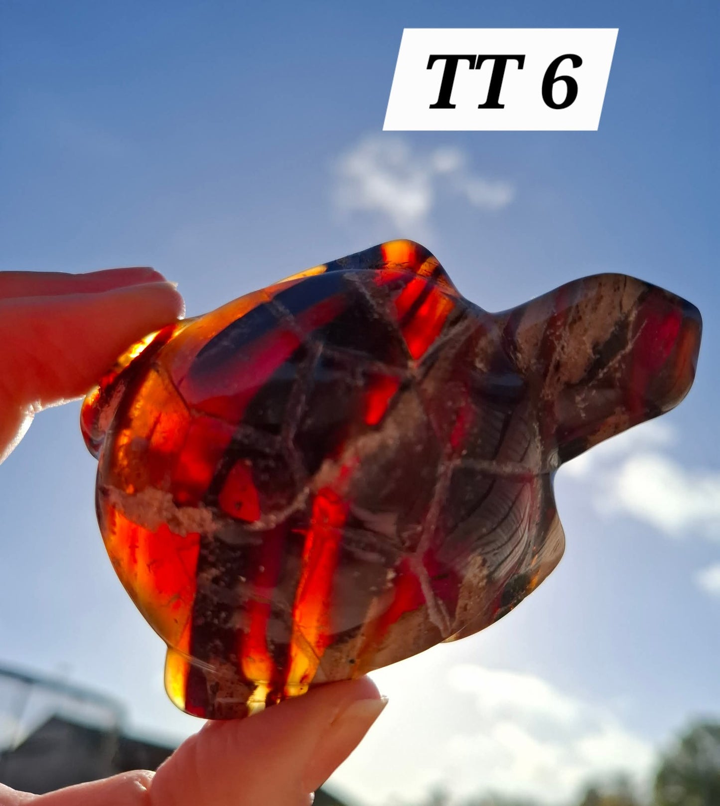 Red Amber Turtle, 50.00g, Carving, Fossil (Ref: TT6)