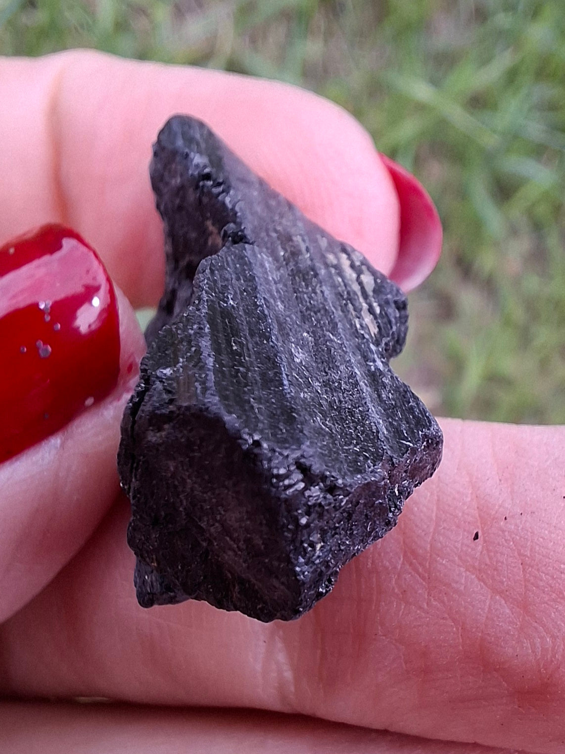Black Tourmaline RAW, 8.72g, Crystal (Ref: RBT17)