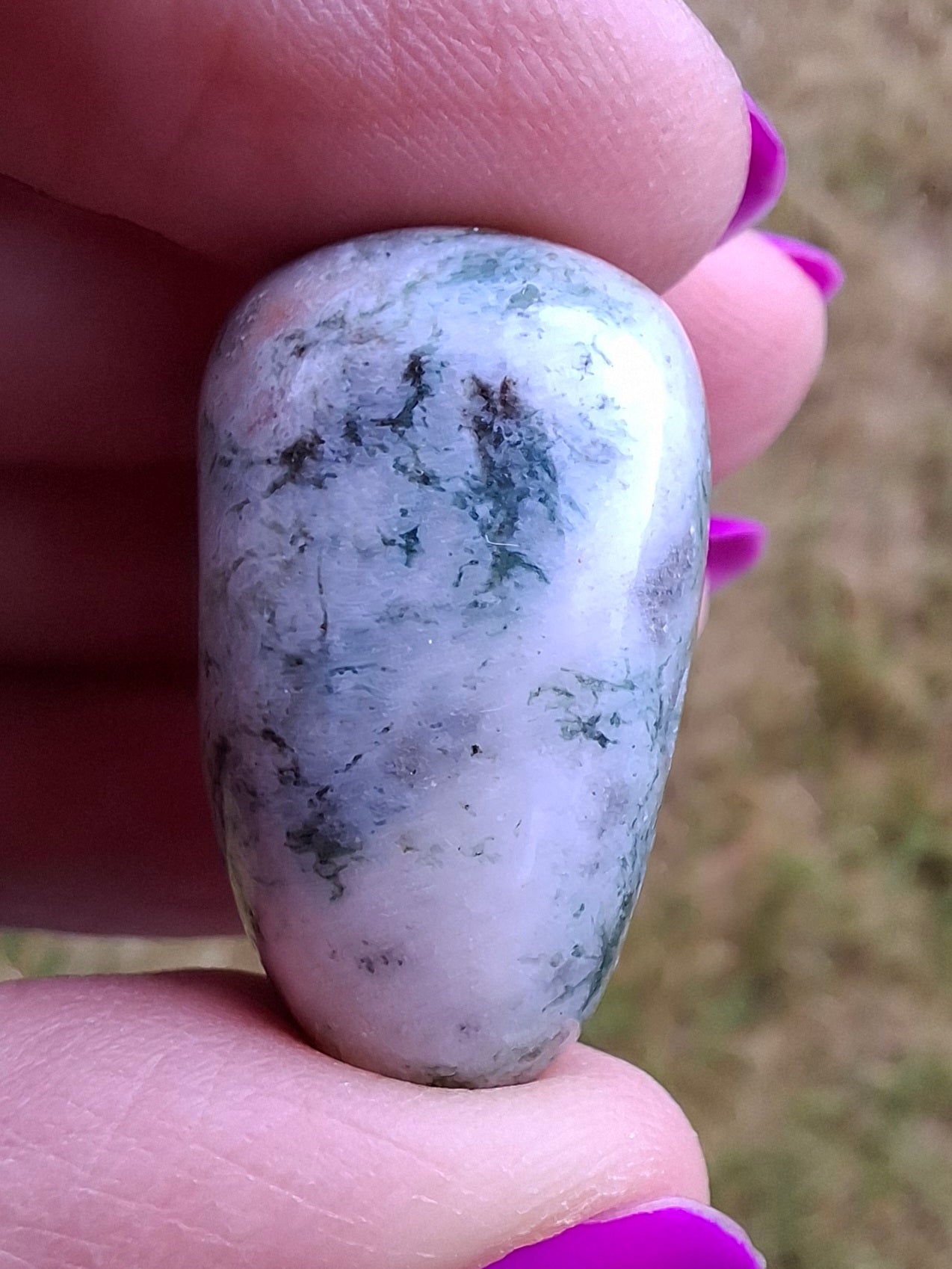 Tree Agate, Tumble Stone, Crystal (Ref: T7)