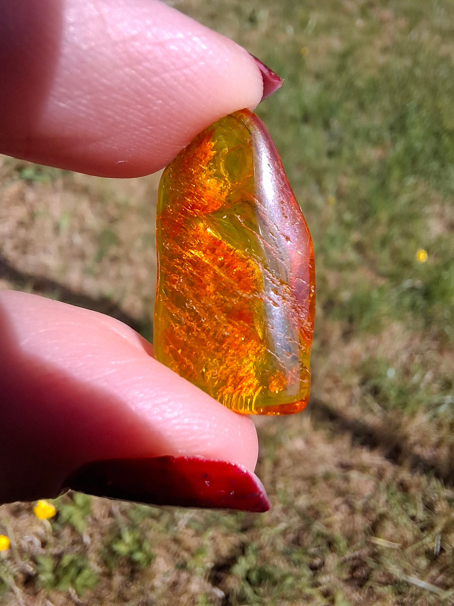 Baltic Amber, 1.11g, Fossil (Ref: A255)