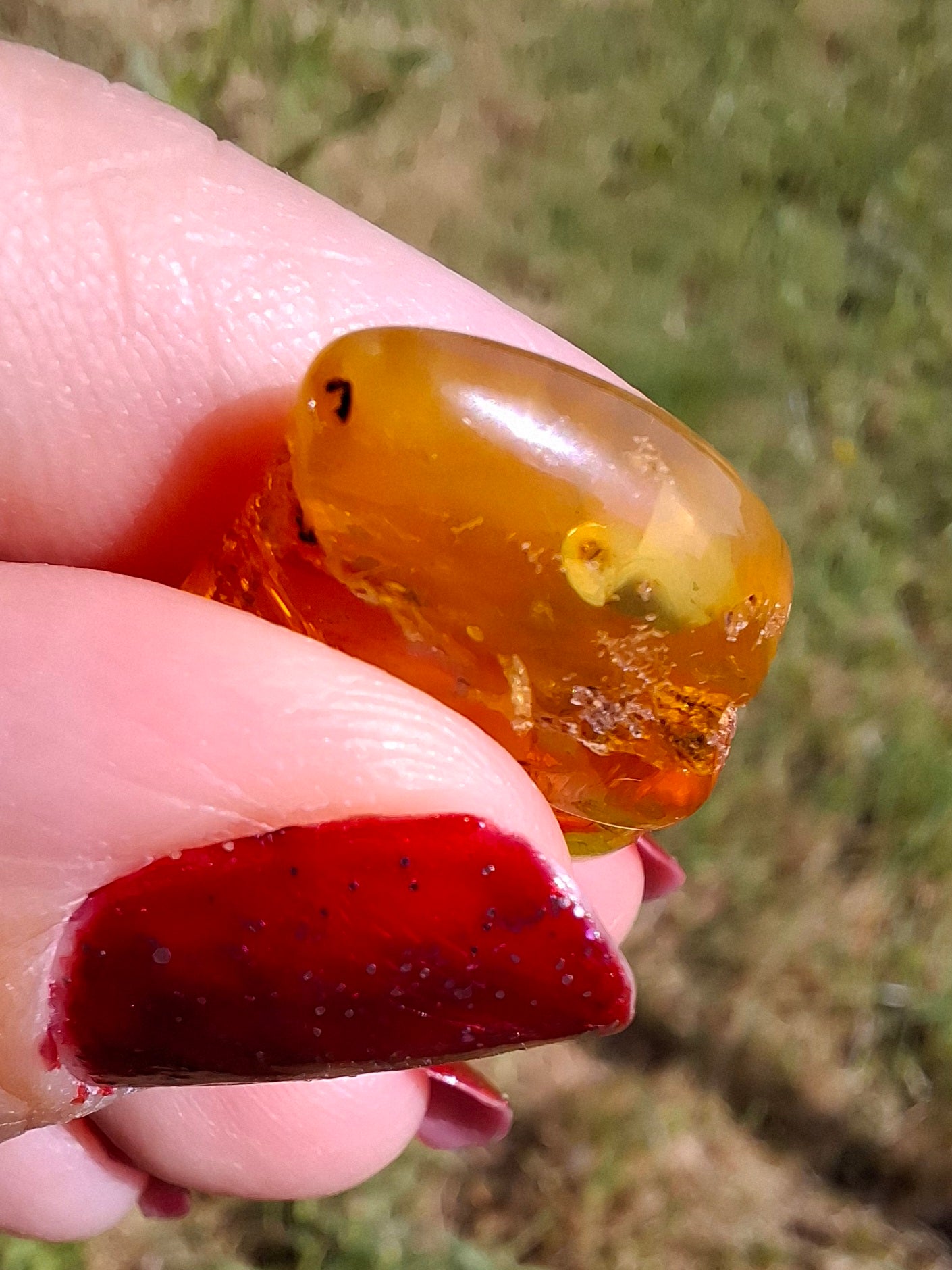 Baltic Amber, 1.51g, Fossil (Ref: A236)