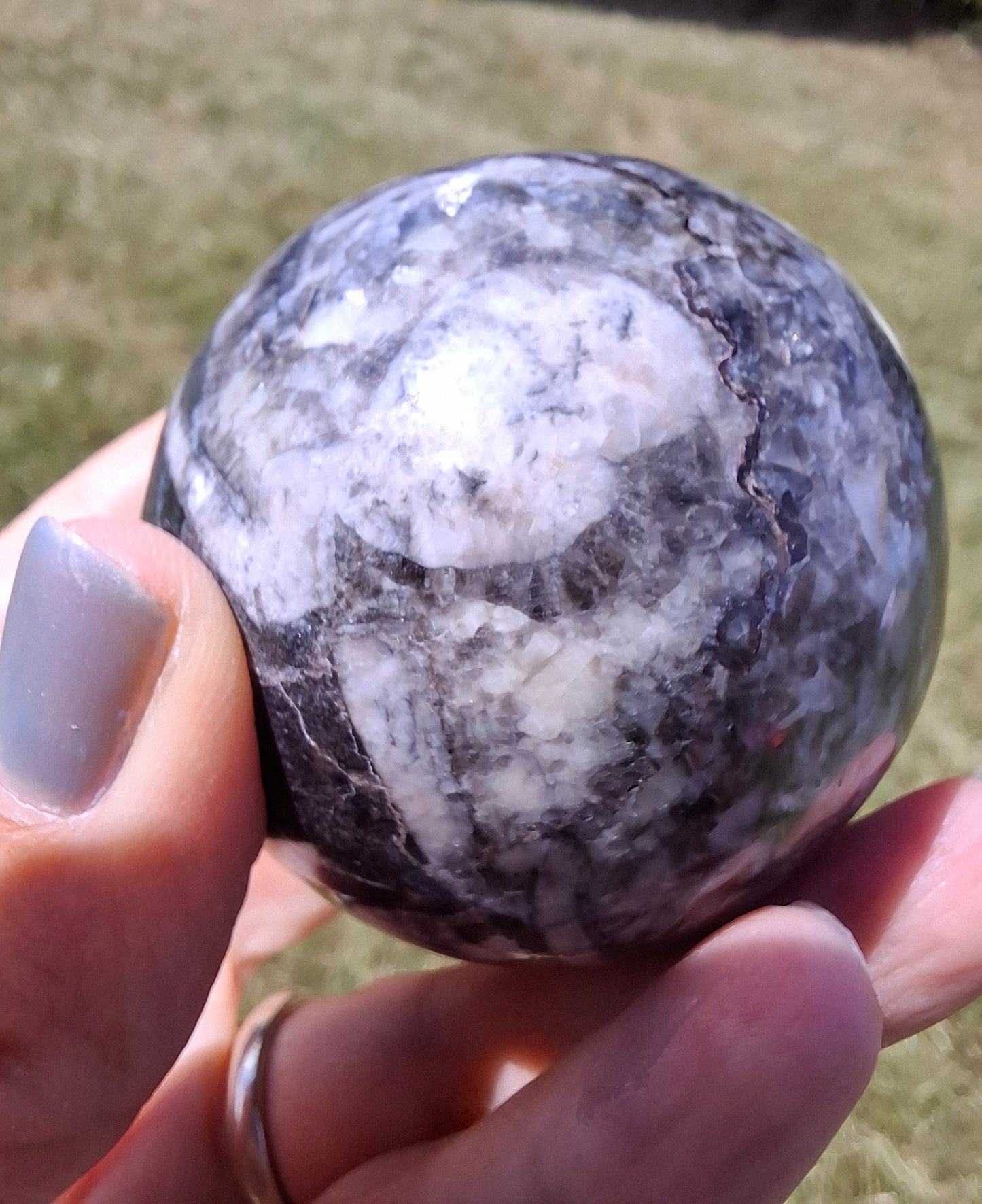 Orthoceras Sphere, Fossil (Ref: OS4)