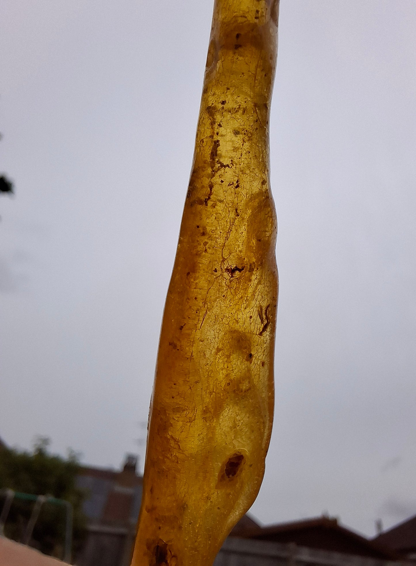 Copal Young Amber with INSECTS inside, 5.07g, Fossil (Ref: CA35)