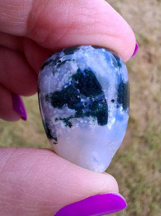 Tree Agate, Tumble Stone, Crystal (Ref: T2)