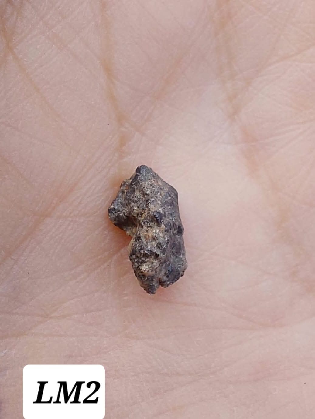 Lunar Meteorite, 0.23g, 'Moon Rock'(Ref: LM2)