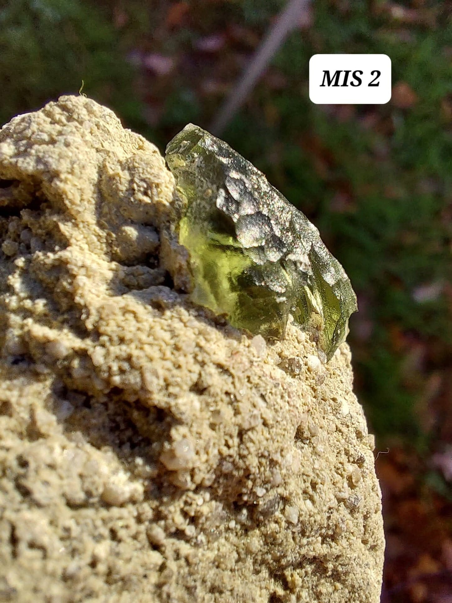 Moldavite In-Situ (in matrix), Besednice, Est 3.5-4g, Tektite (Ref: MIS2)