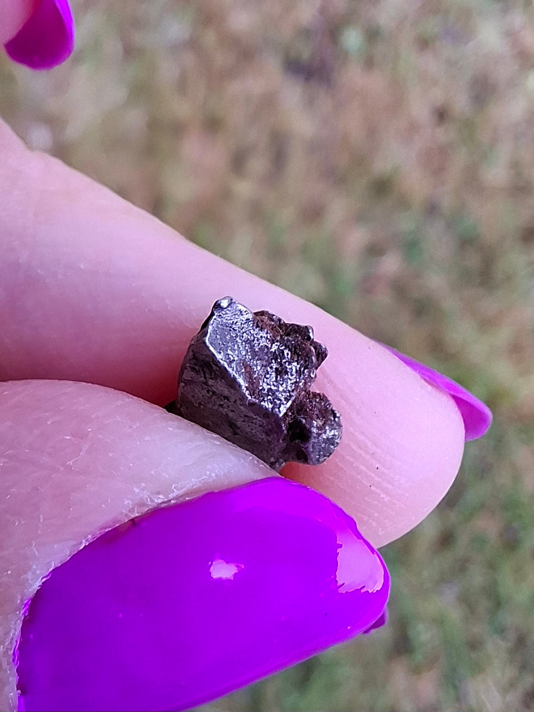 Campo del Cielo, 0.95g, Nickel Iron Meteorite (Ref: C2)