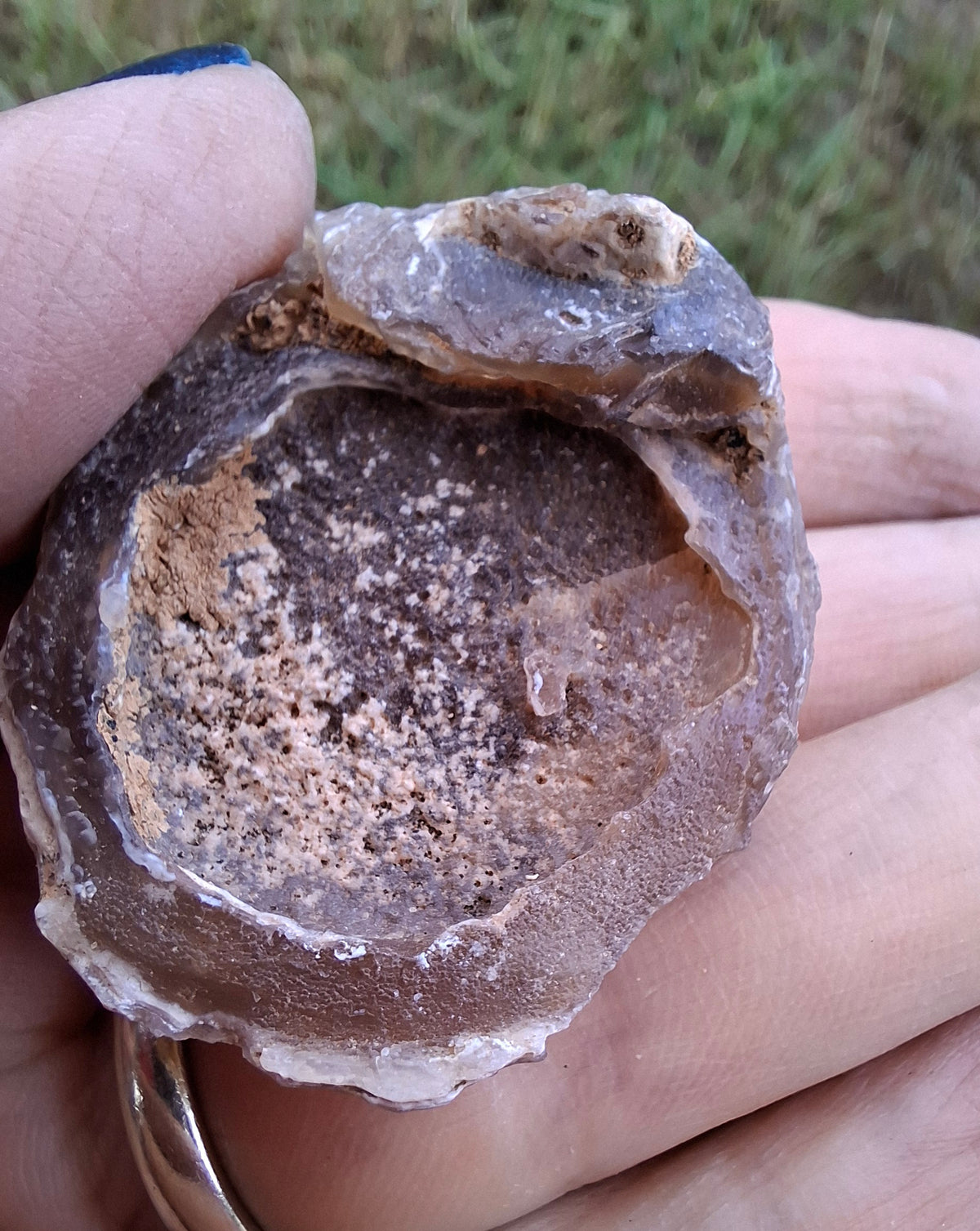 Chalcedony Oyster, Fossil (Ref: FO4)