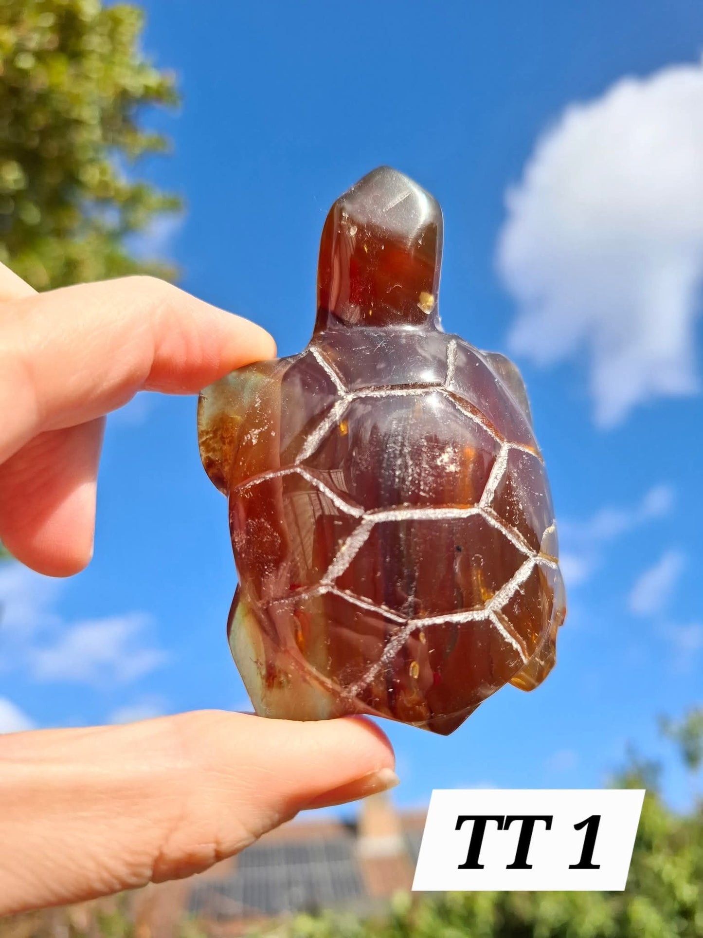 Red Amber Turtle, 49.15g, Carving, Fossil (Ref: TT1)
