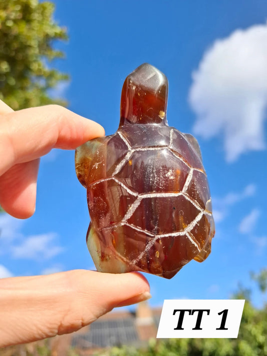 Red Amber Turtle, 49.15g, Carving, Fossil (Ref: TT1)