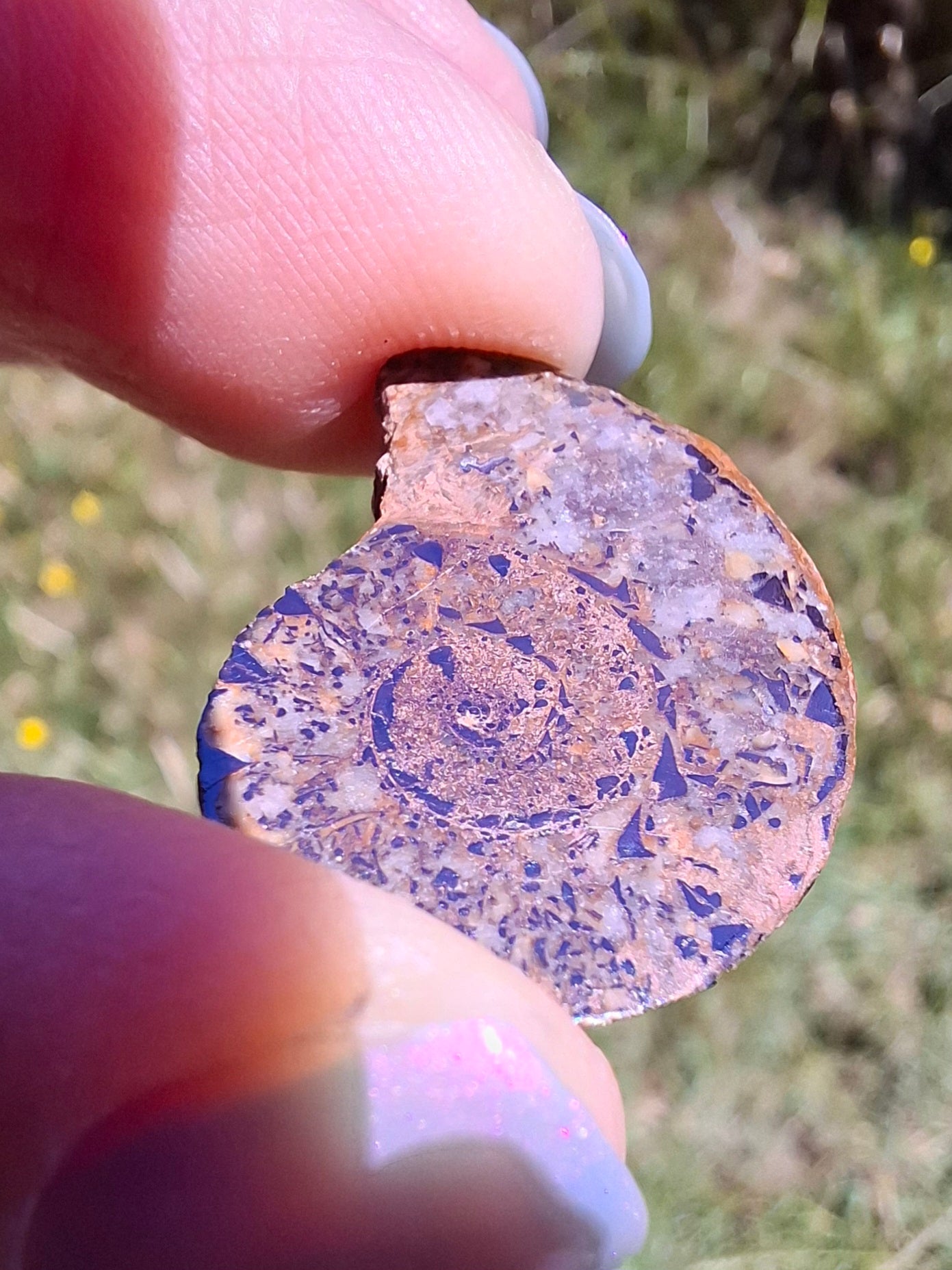 Small Haematite Ammonite HALF, 2.55g, Fossil (Ref: MA8)