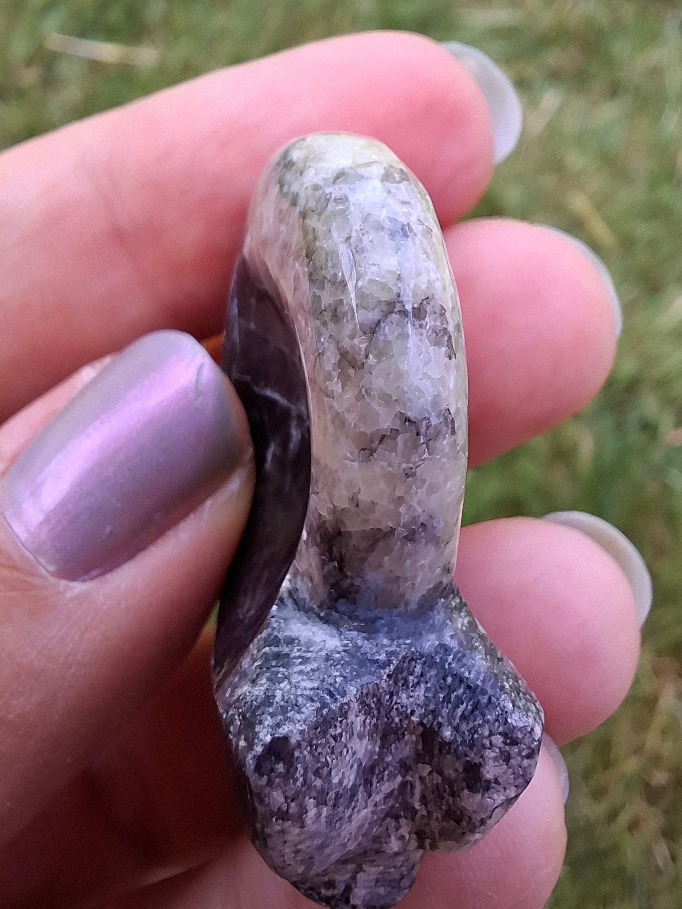 Goniatite, Fossil (Ref: GA3)